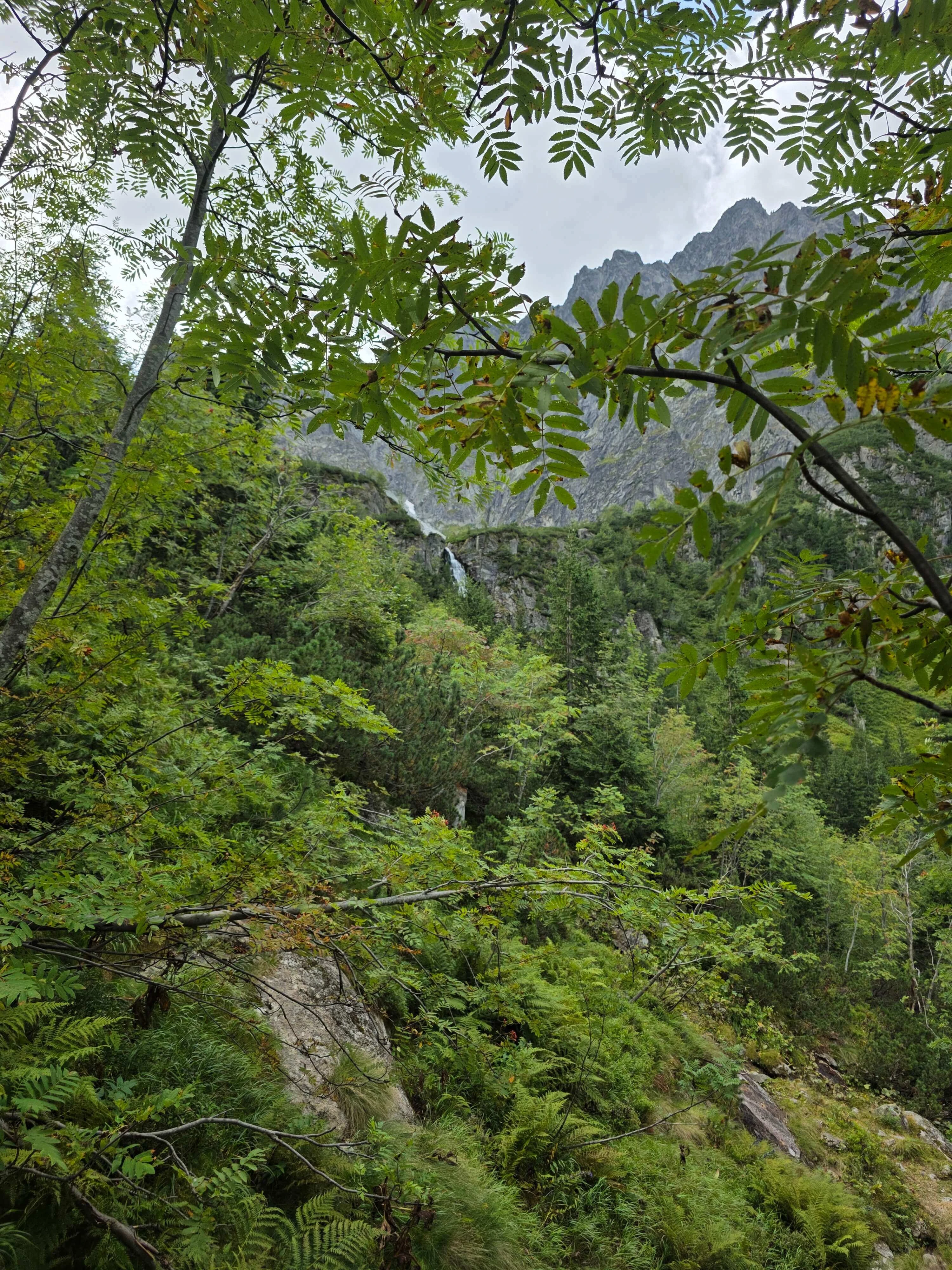 Dolina bialej wody – Biała Woda Valley and Litworowy Staw, photo 3