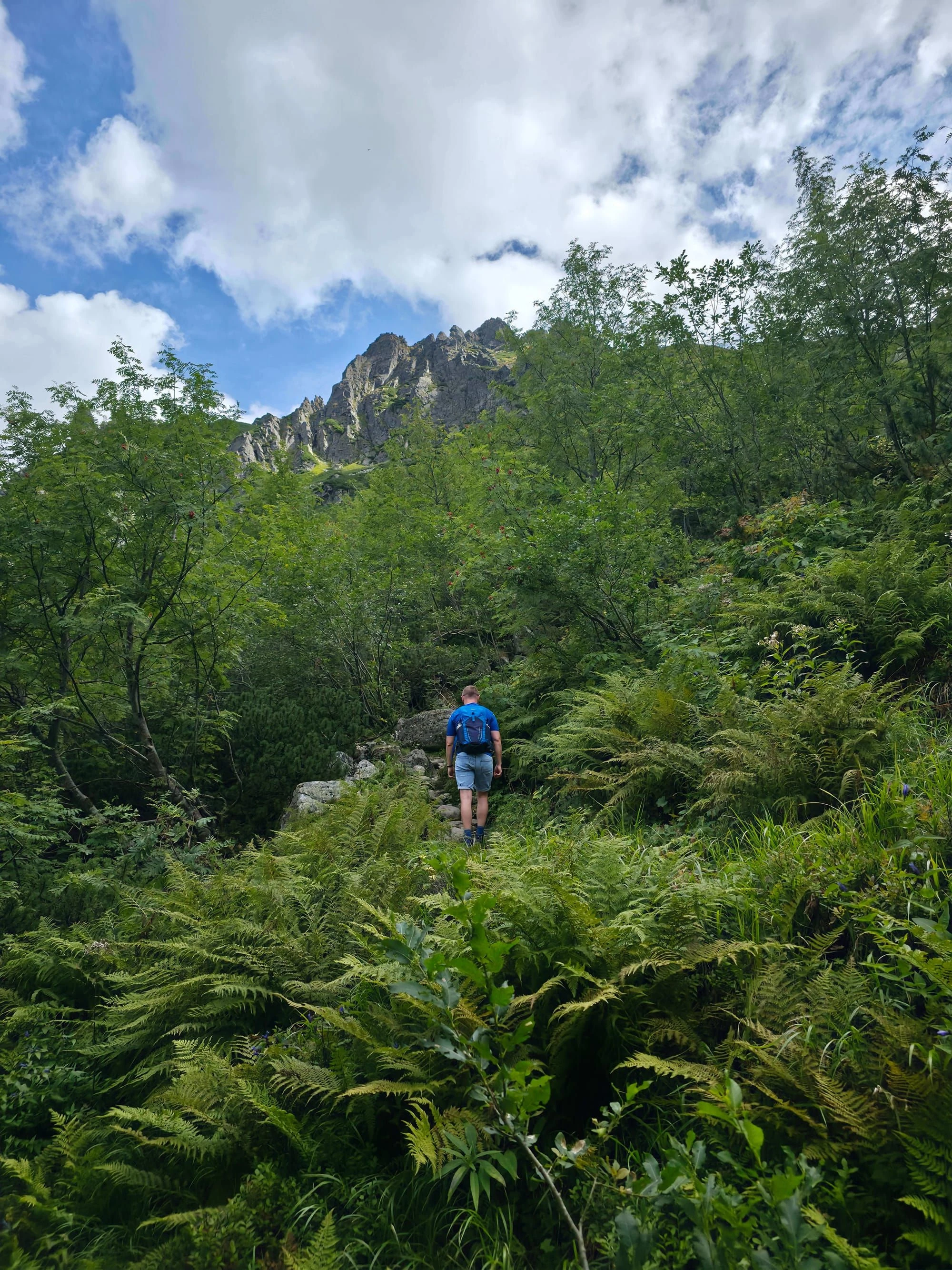 Dolina bialej wody – Photo from trail Dolina Białej Wody (Bielovodská dolina), photo 14