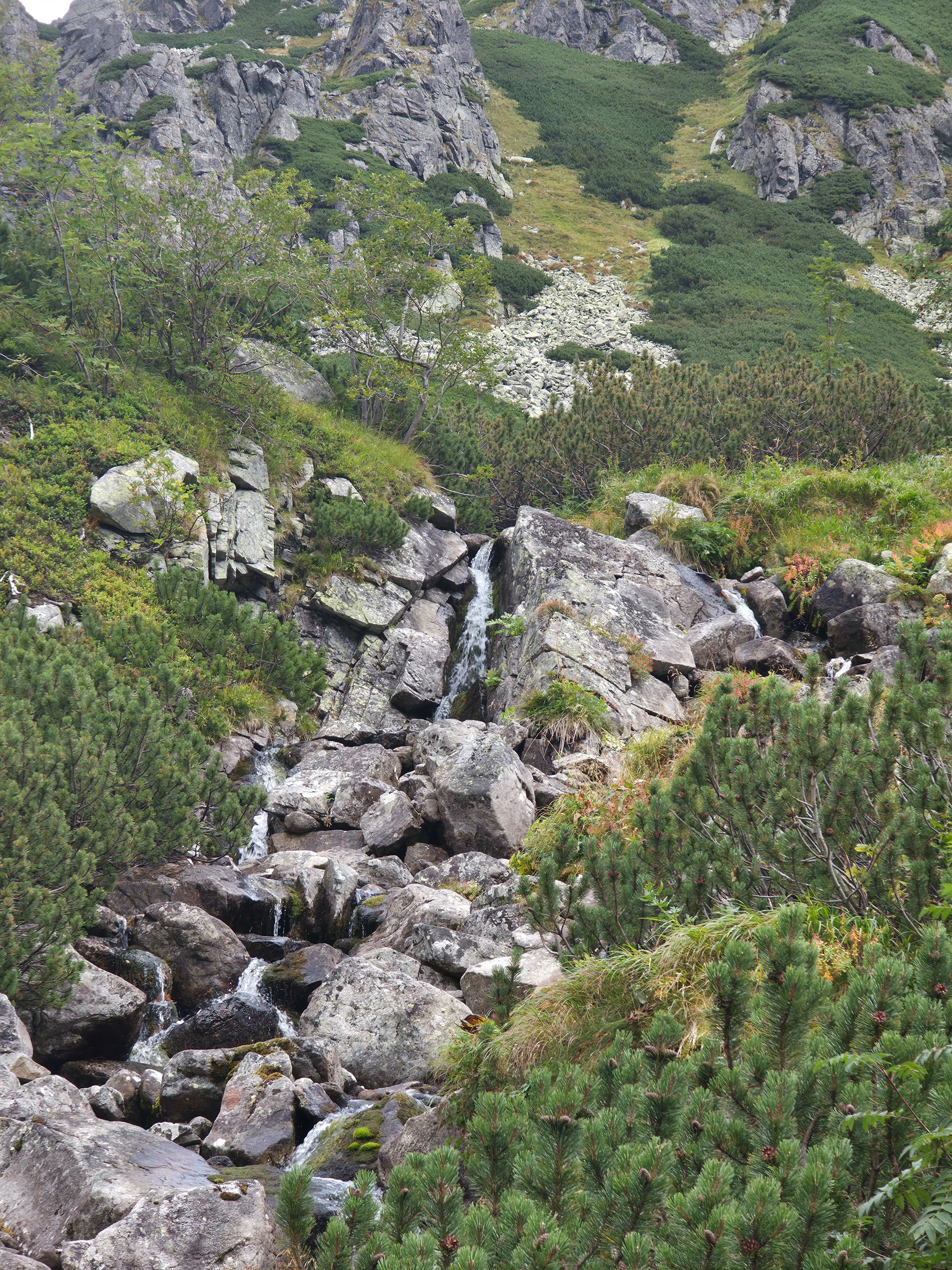 Dolina bialej wody – Biała Woda Valley and Litworowy Staw, photo 9