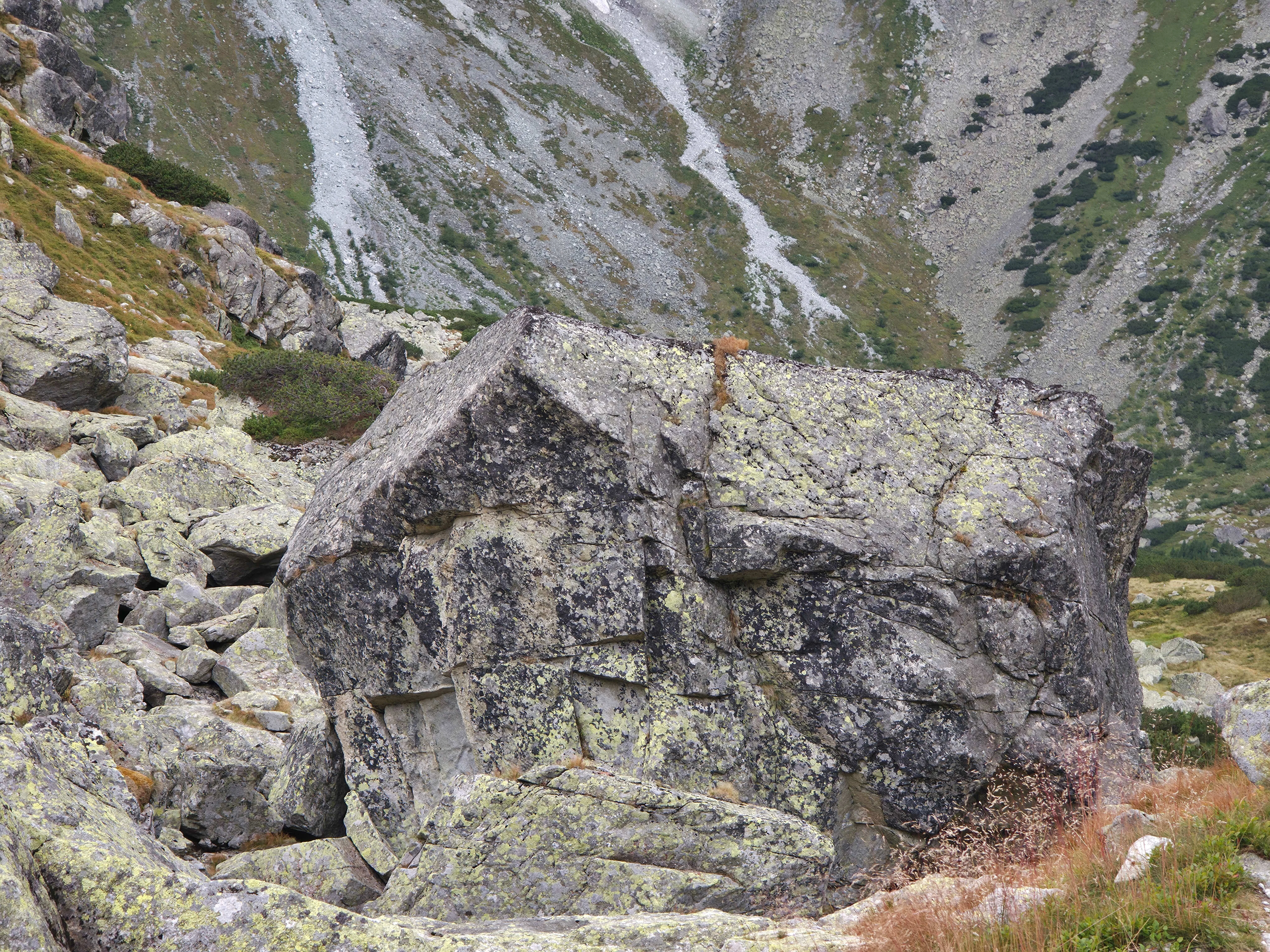 Dolina bialej wody – Biała Woda Valley and Litworowy Staw, photo 11