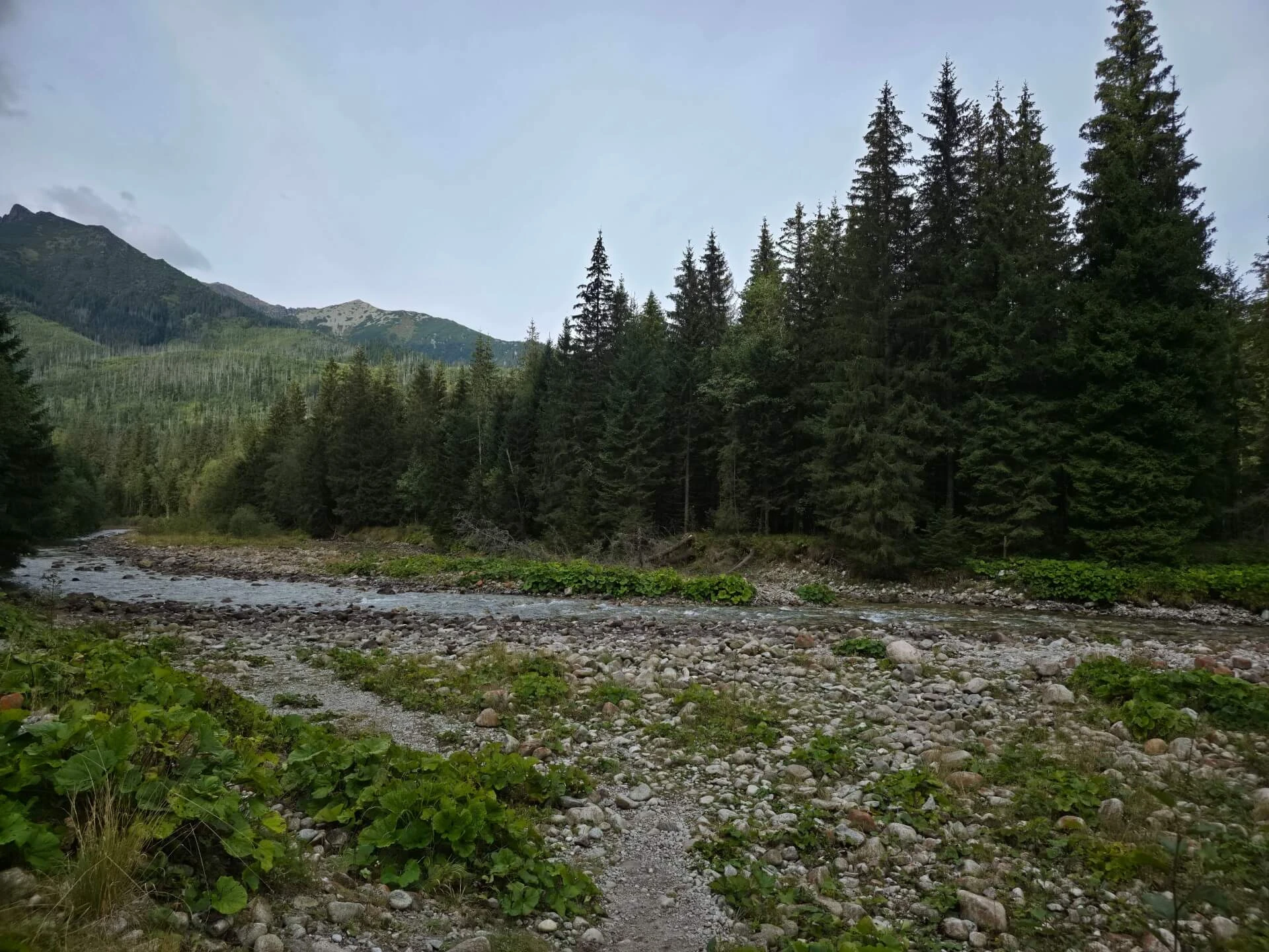 Dolina bialej wody – Biała Woda Valley and Litworowy Staw, photo 1