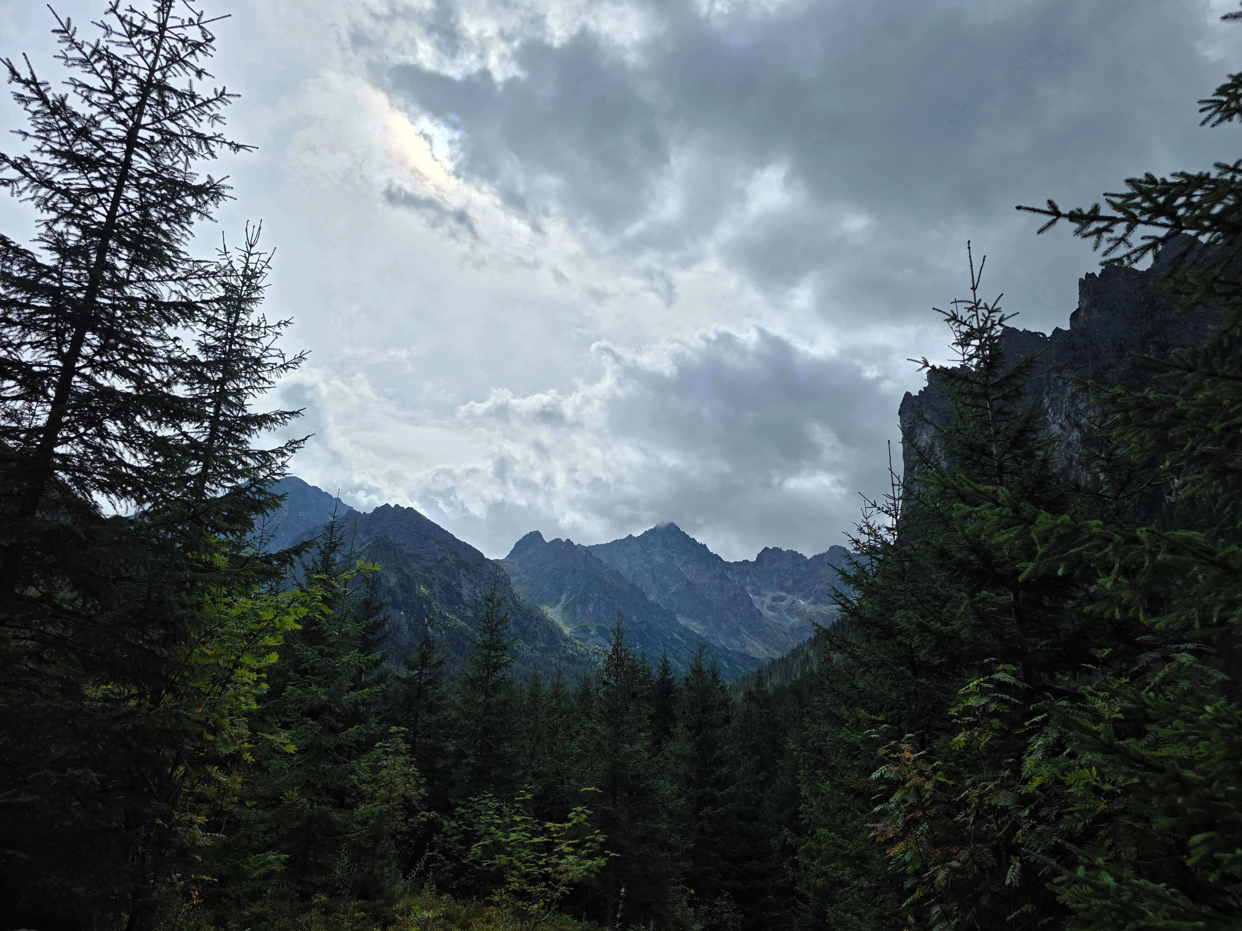 Dolina bialej wody – Biała Woda Valley and Litworowy Staw, photo 18