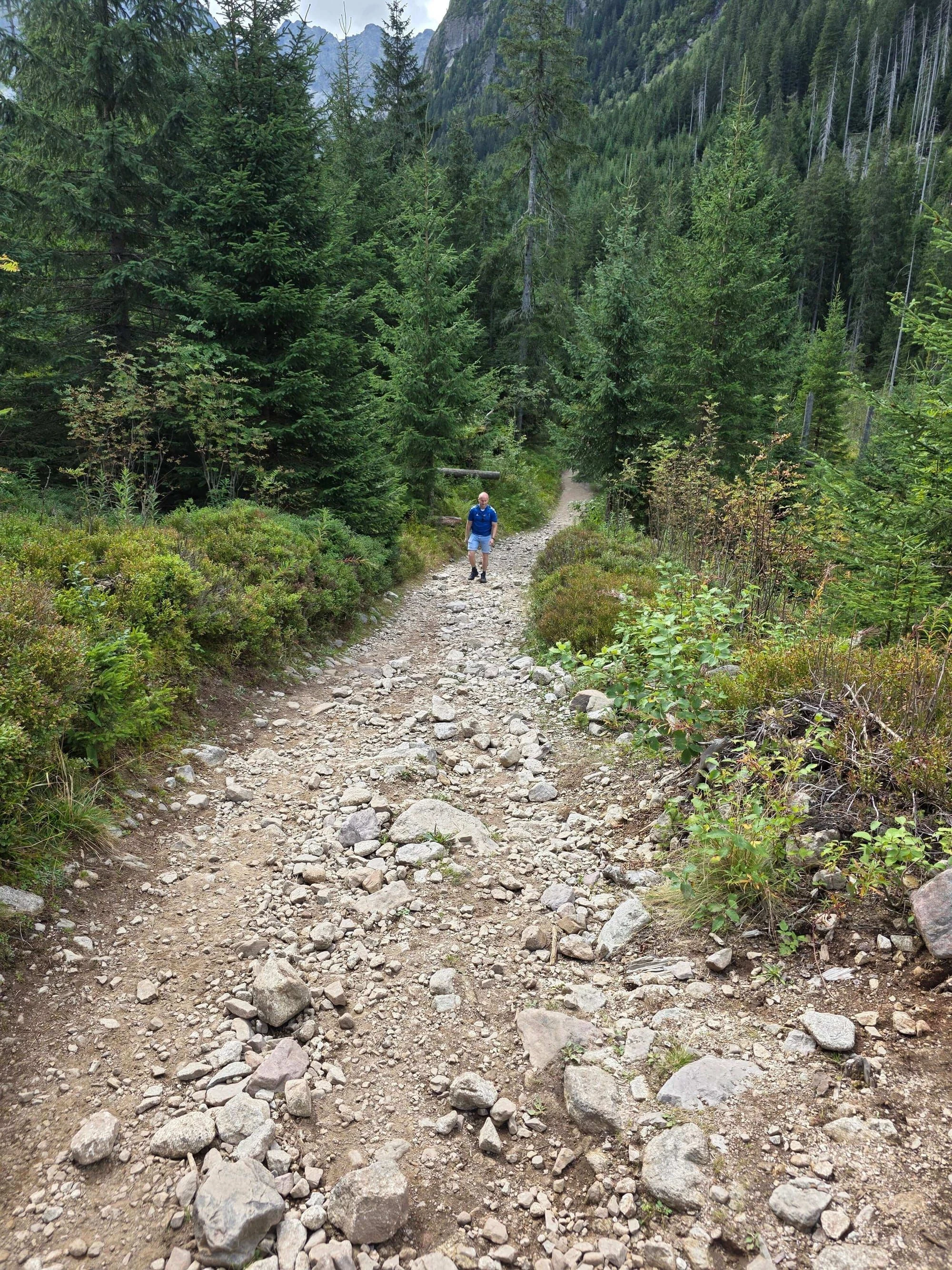 Dolina bialej wody – Photo from trail Dolina Białej Wody (Bielovodská dolina), photo 10