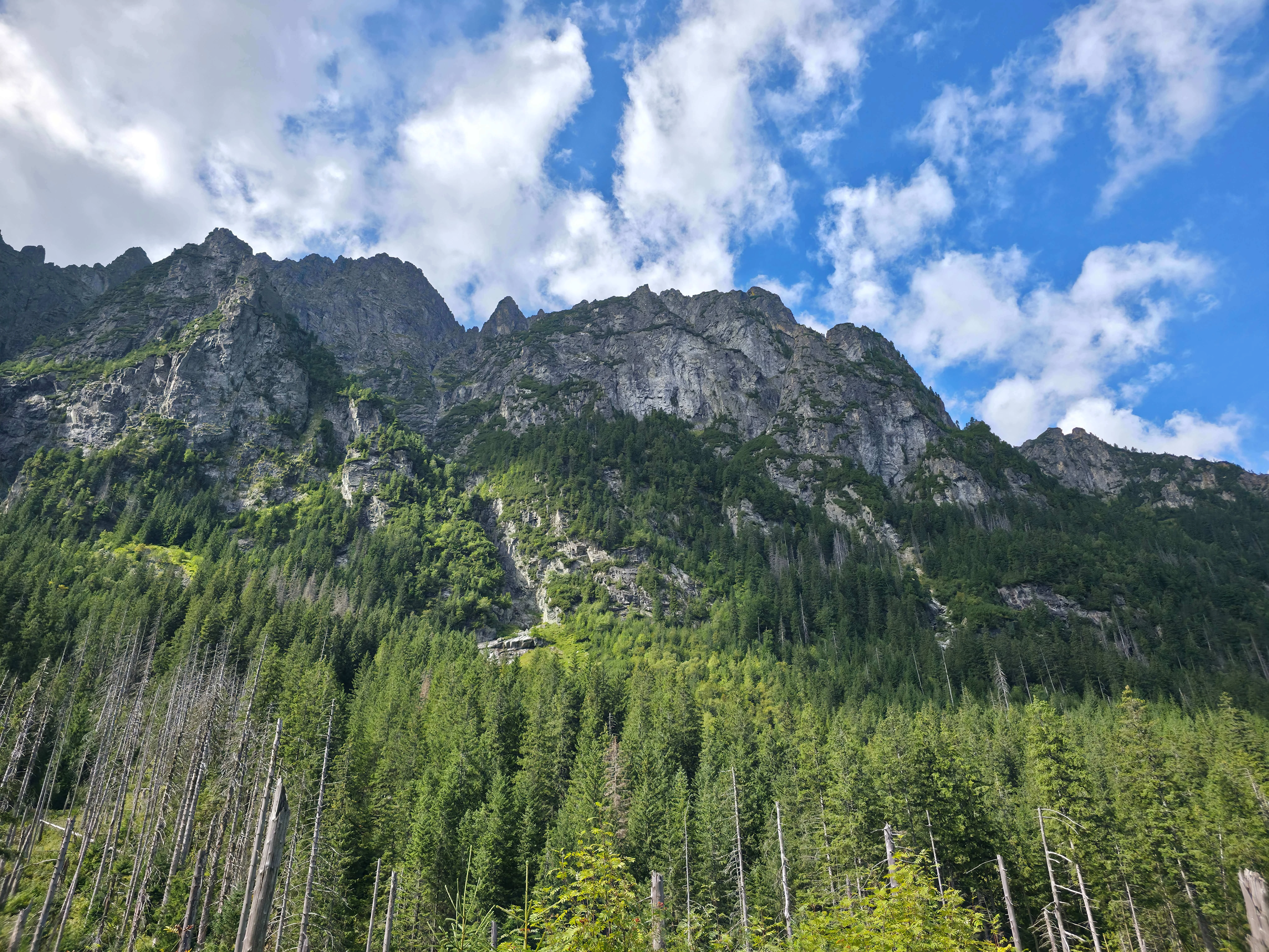 Dolina bialej wody – Biała Woda Valley and Litworowy Staw, photo 22