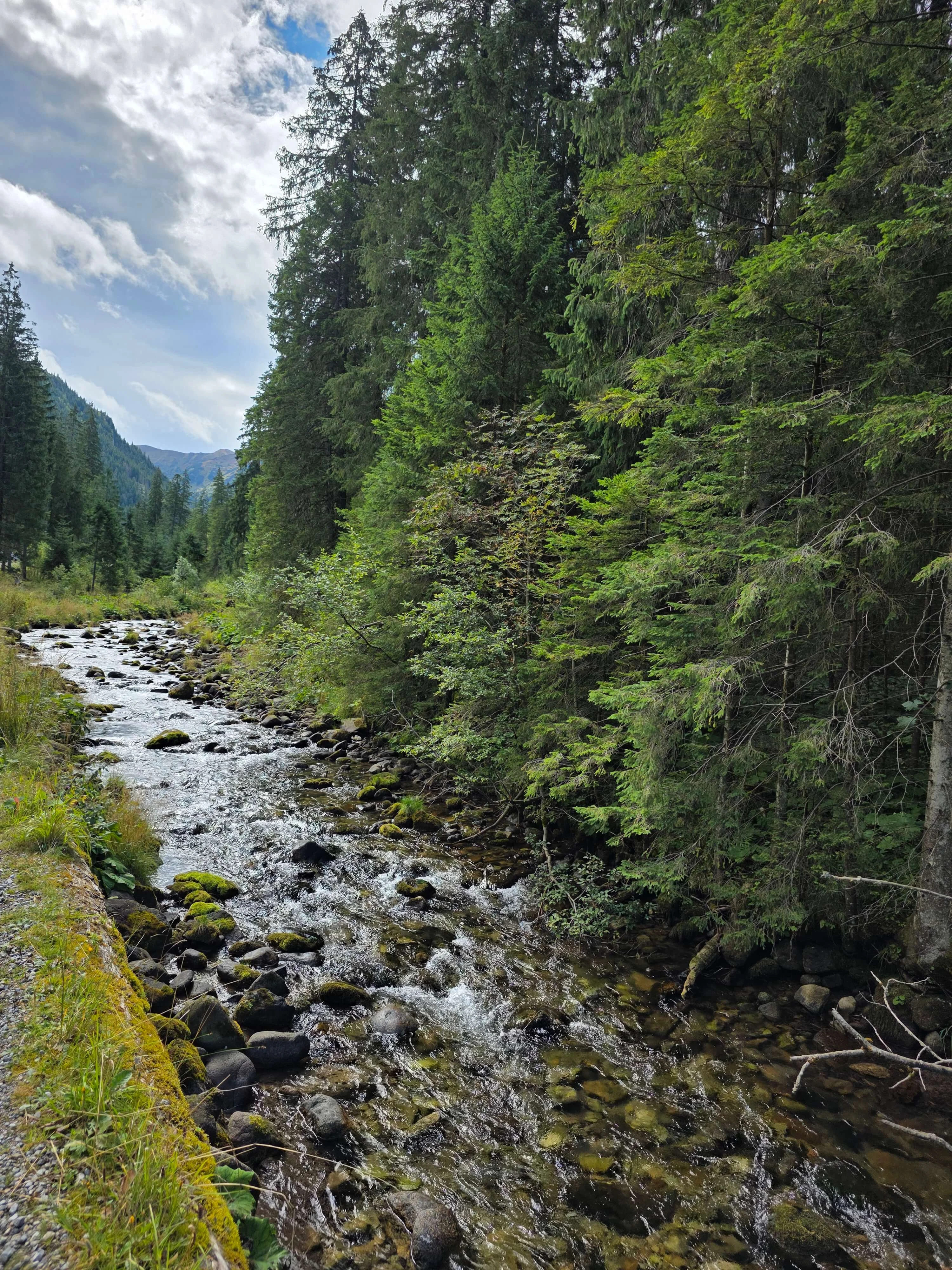 Grzes rakon wrzesien 2026 – Chochołowska Valley, Grześ, Rakoń, photo 4