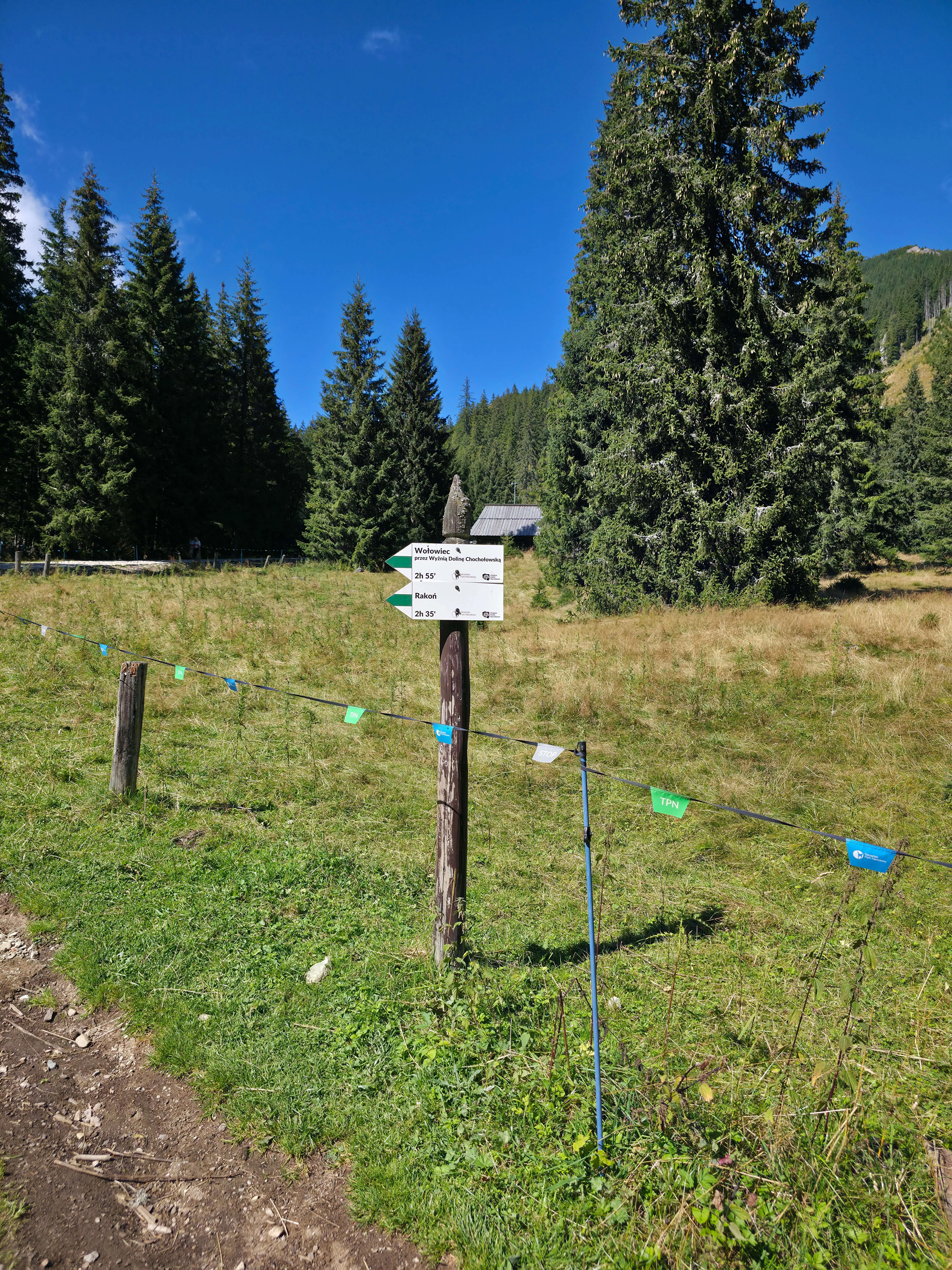 Grzes rakon wrzesien 2026 – Chochołowska Valley, Grześ, Rakoń, photo 63
