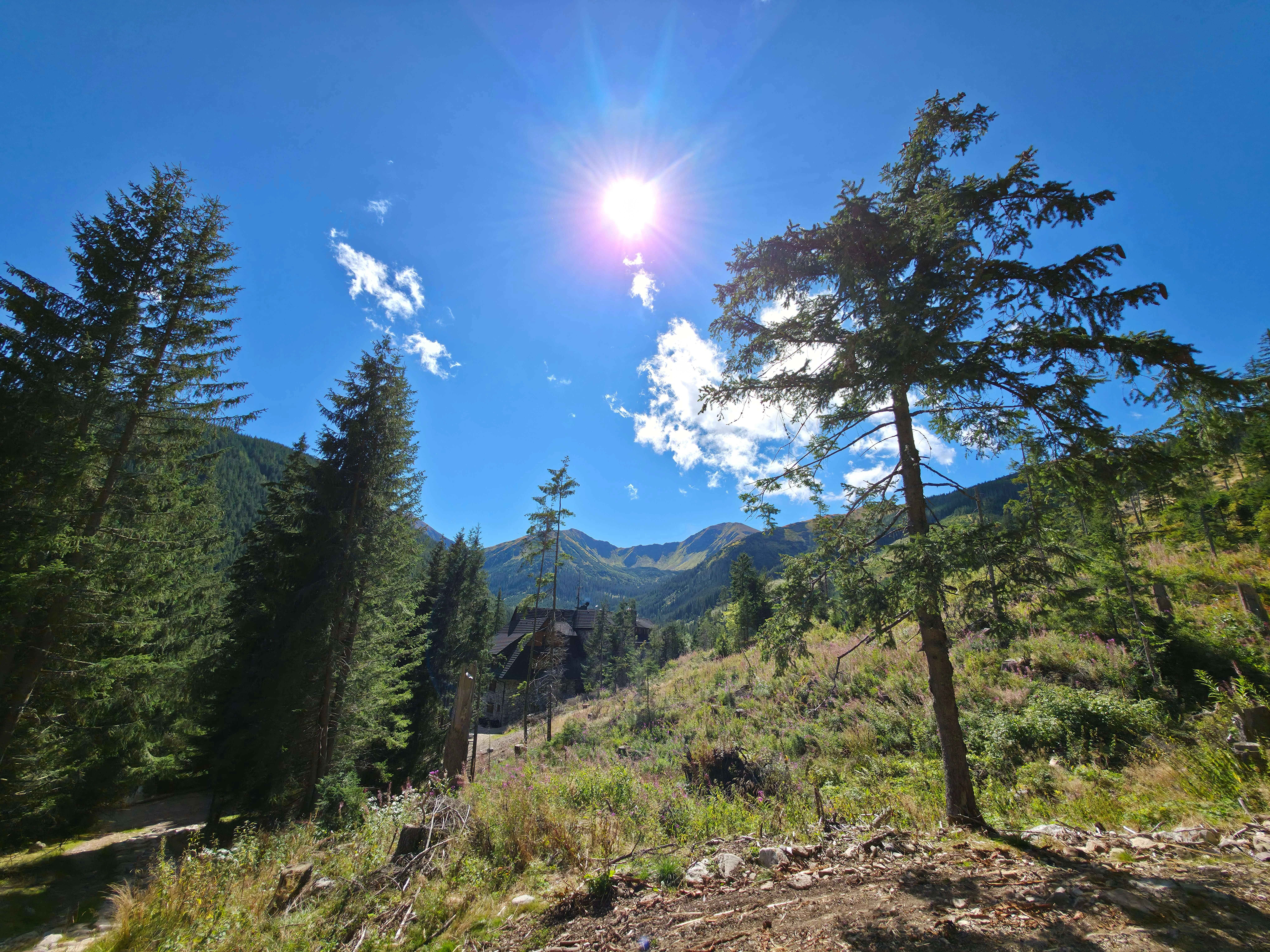 Grzes rakon wrzesien 2026 – Chochołowska Valley, Grześ, Rakoń, photo 53