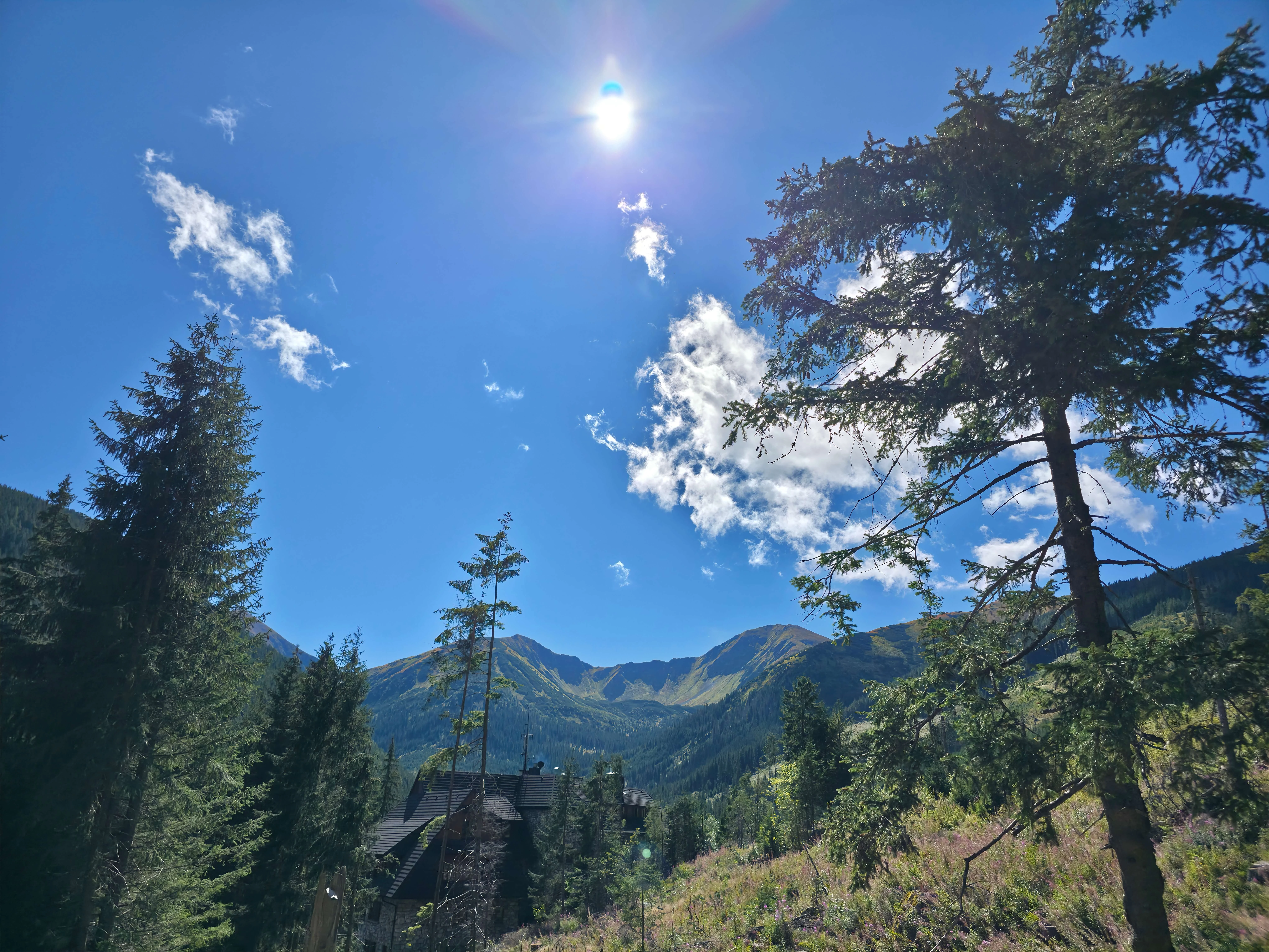 Grzes rakon wrzesien 2026 – Chochołowska Valley, Grześ, Rakoń, photo 7