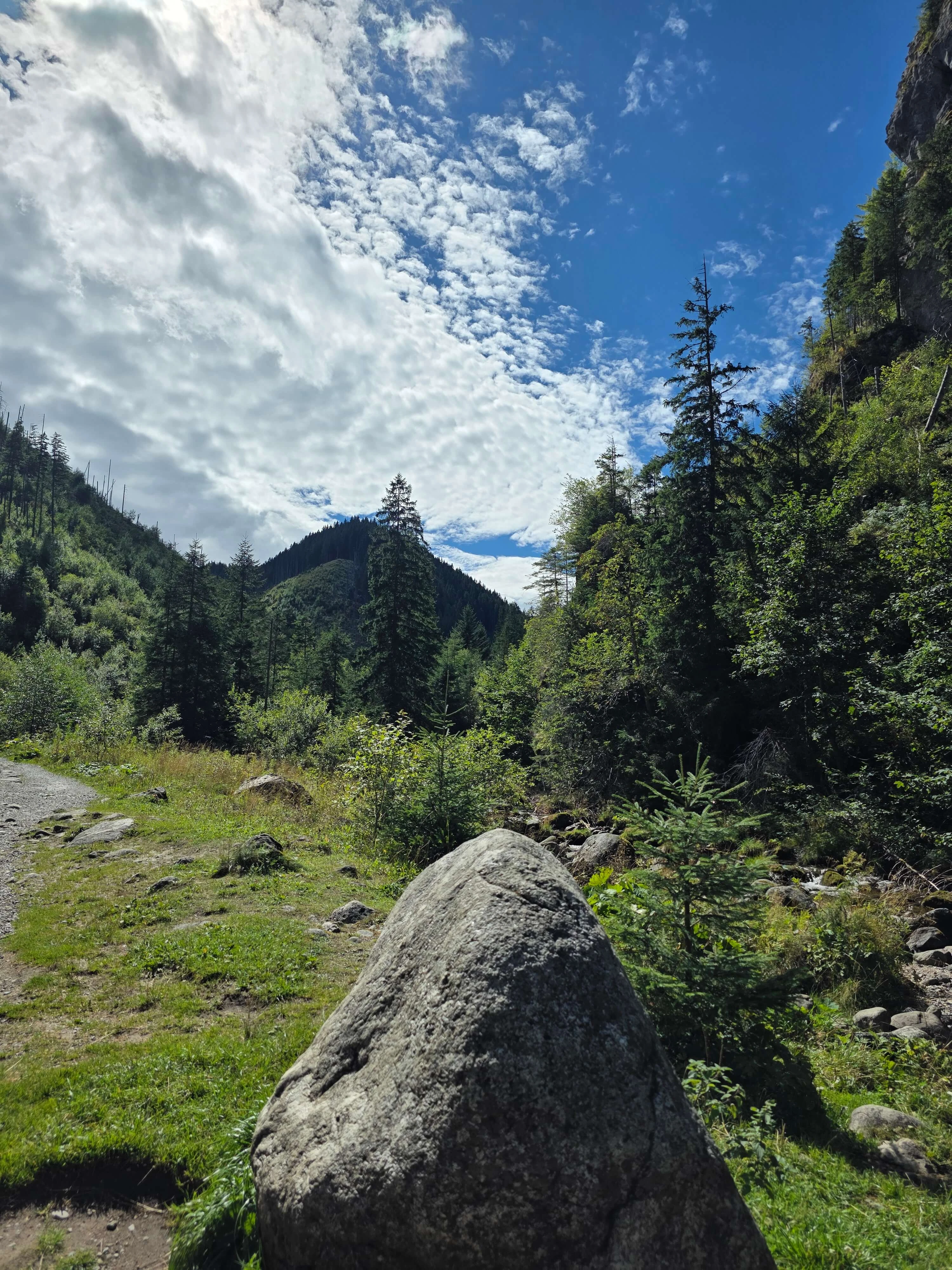 Grzes rakon wrzesien 2026 – Chochołowska Valley, Grześ, Rakoń, photo 21