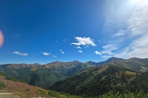 Grześ