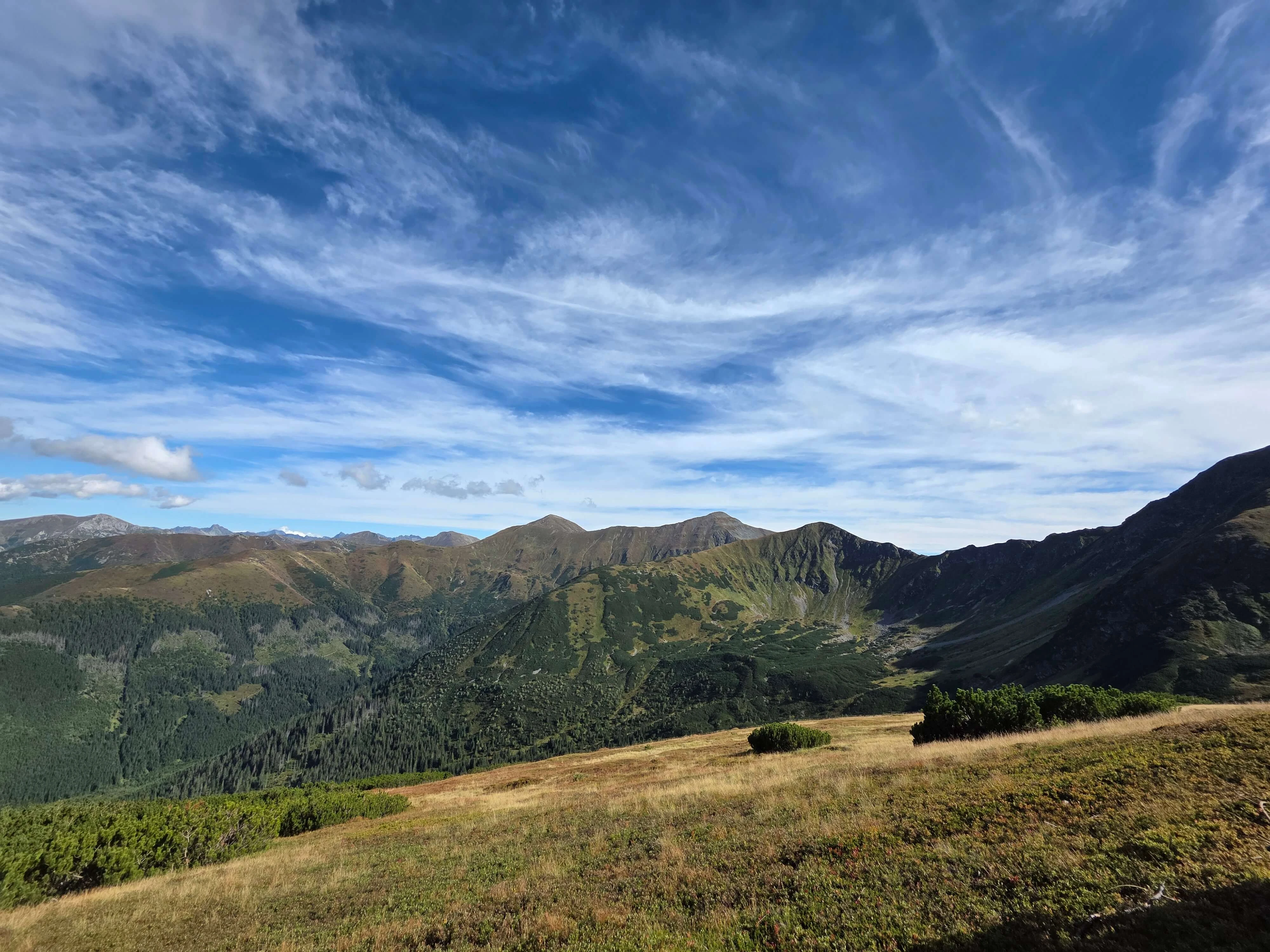 Grzes rakon wrzesien 2026 – Chochołowska Valley, Grześ, Rakoń, photo 37