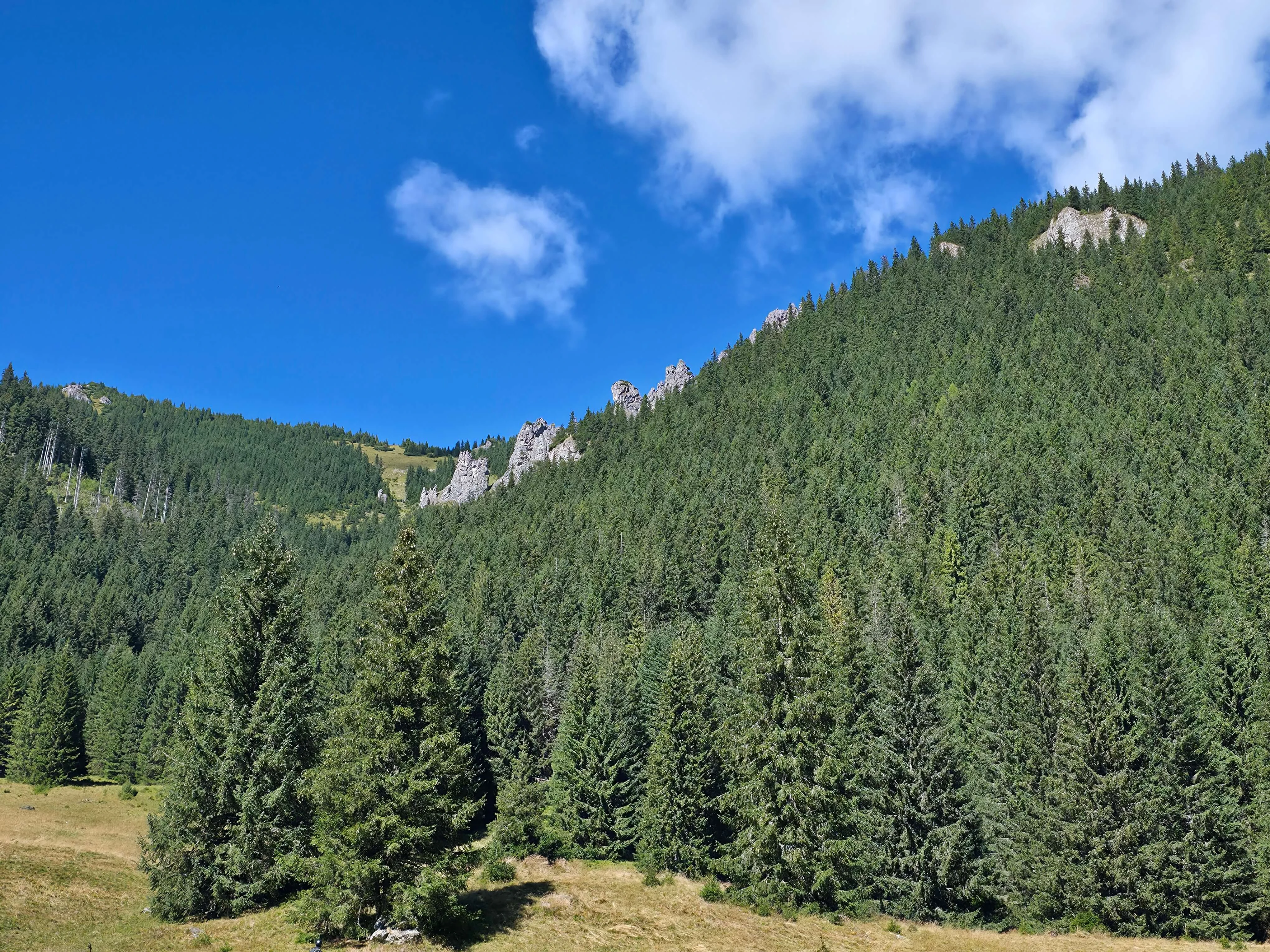 Grzes rakon wrzesien 2026 – Chochołowska Valley, Grześ, Rakoń, photo 66
