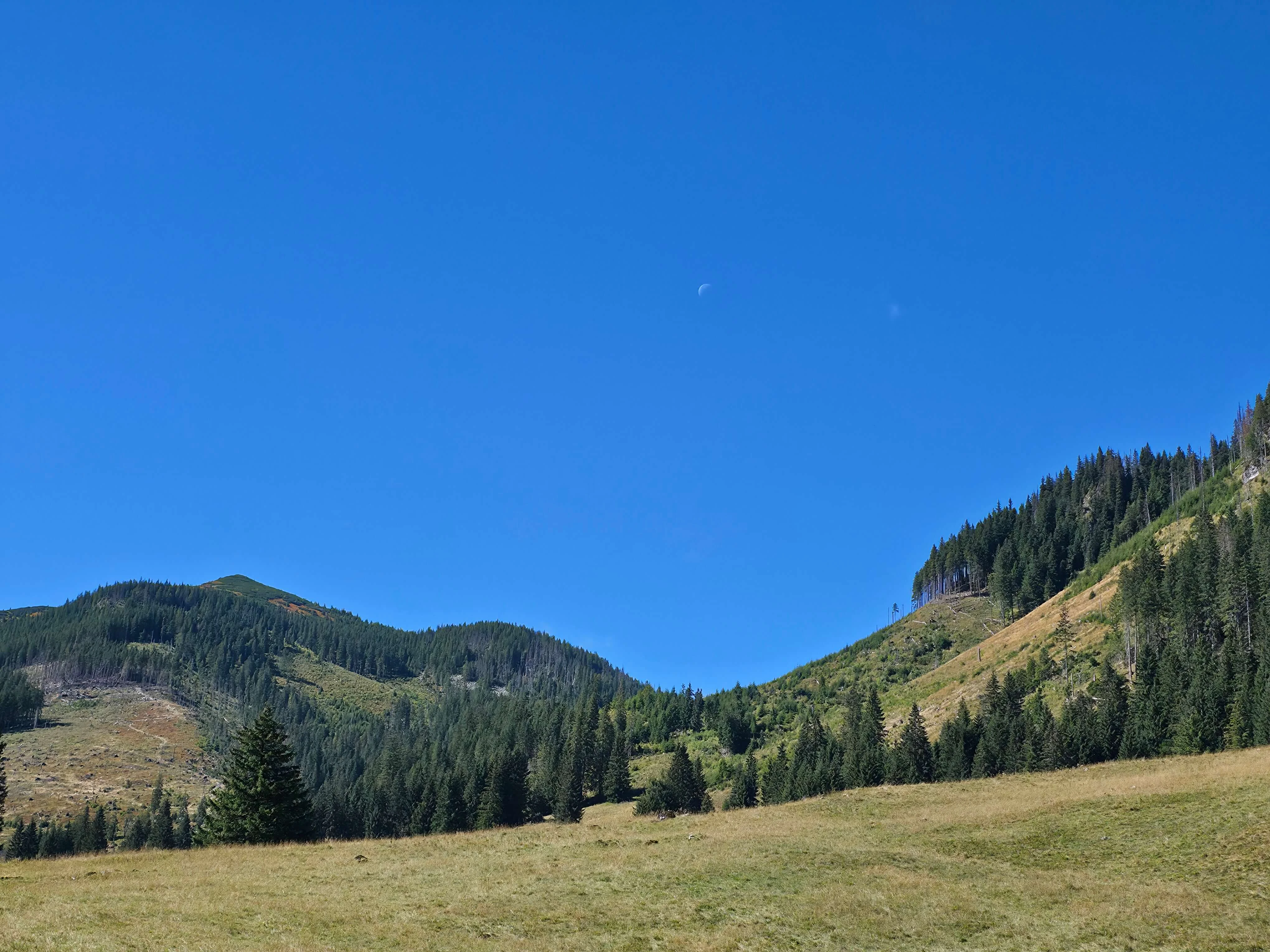 Grzes rakon wrzesien 2026 – Chochołowska Valley, Grześ, Rakoń, photo 49