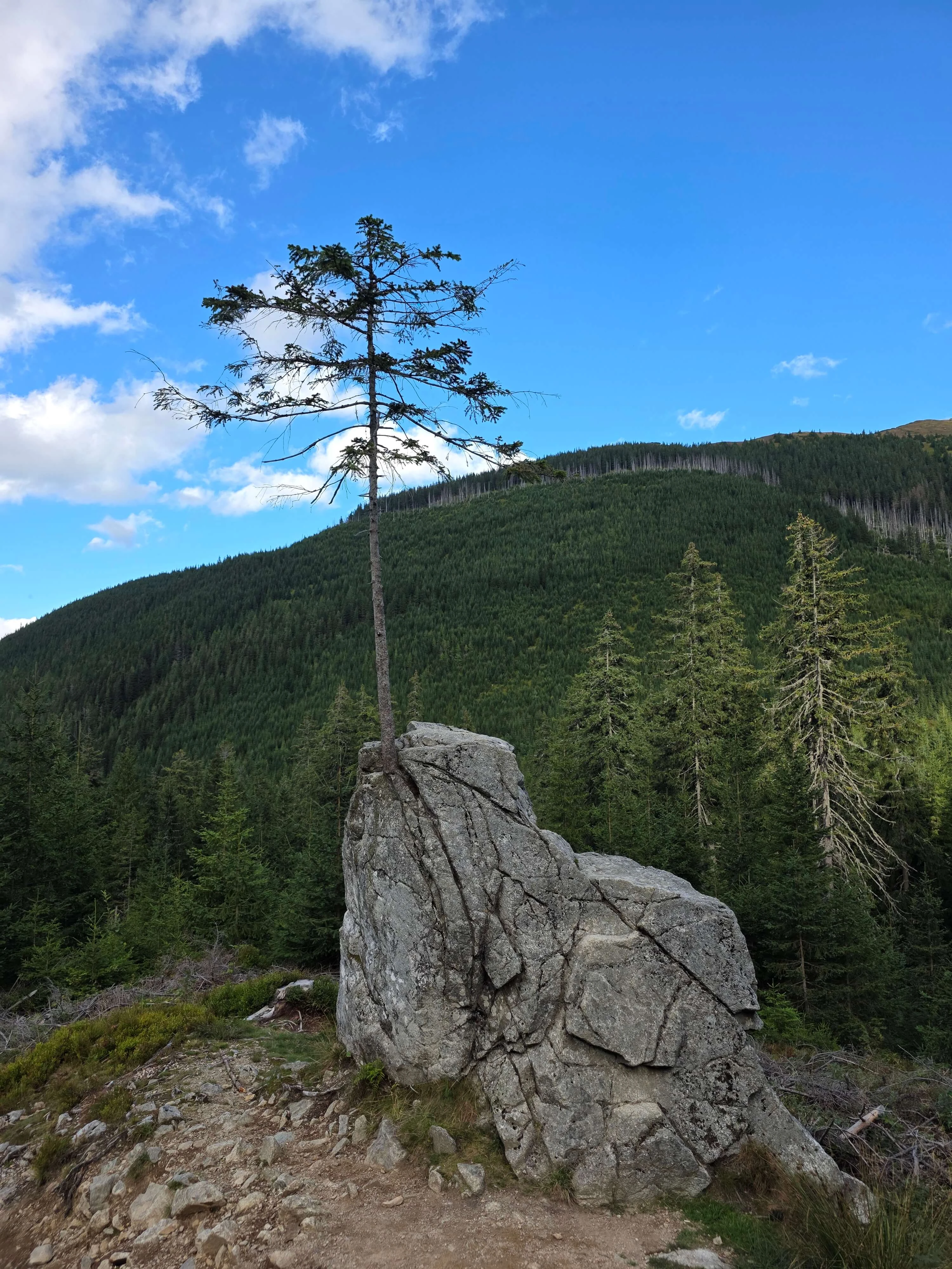 Grzes rakon wrzesien 2026 – Chochołowska Valley, Grześ, Rakoń, photo 70