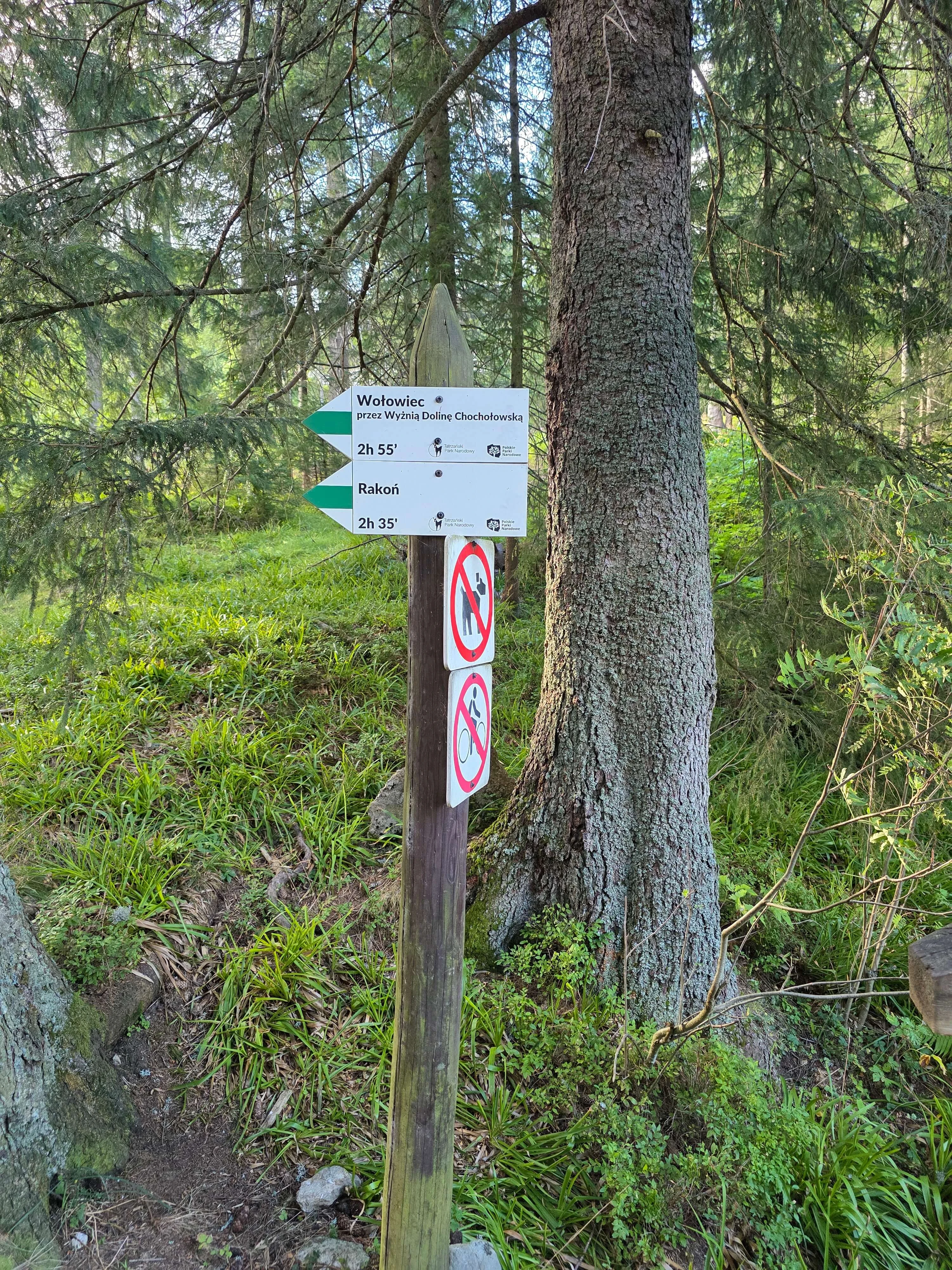 Grzes rakon wrzesien 2026 – Chochołowska Valley, Grześ, Rakoń, photo 17