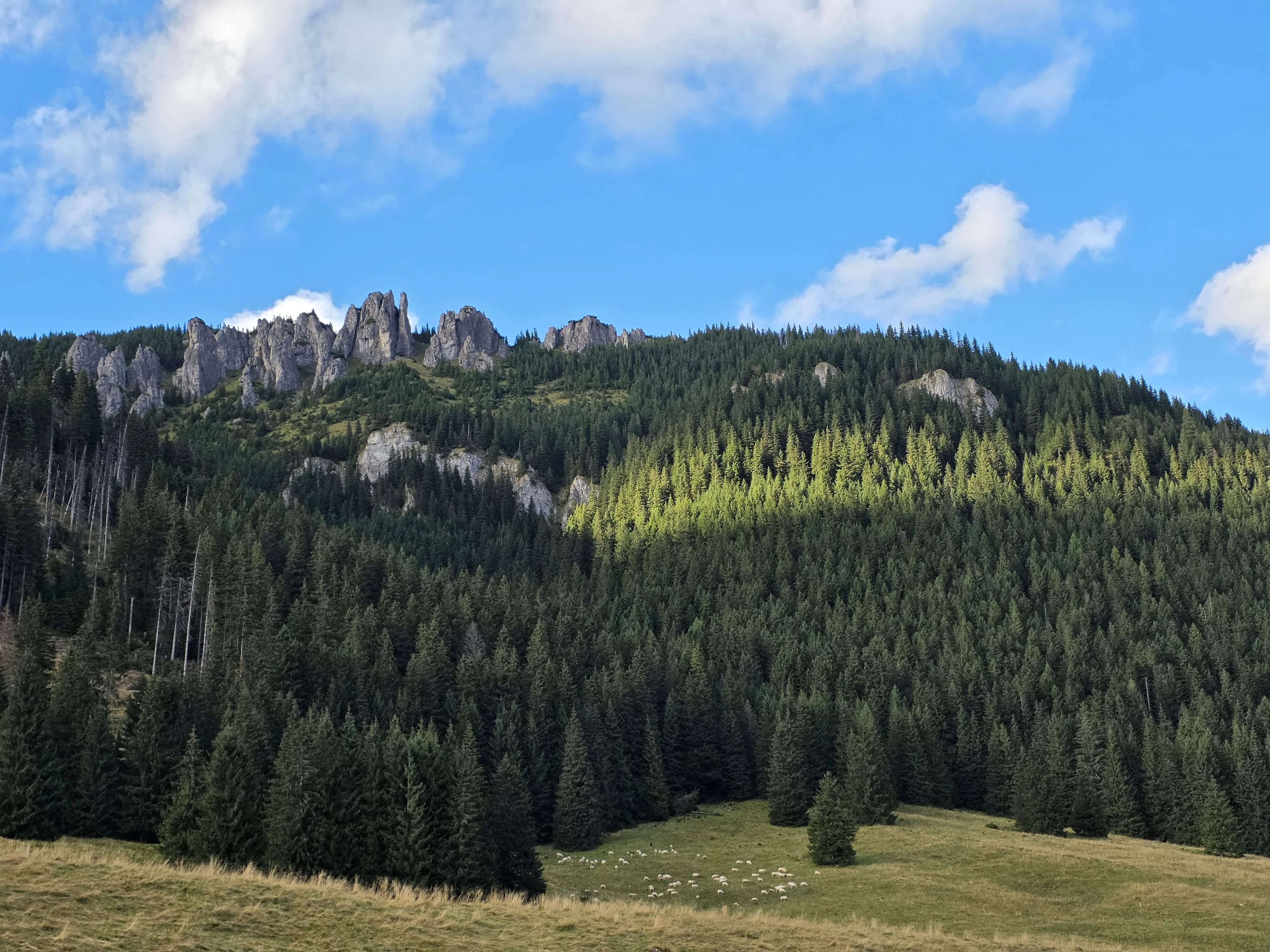 Grzes rakon wrzesien 2026 – Chochołowska Valley, Grześ, Rakoń, photo 59