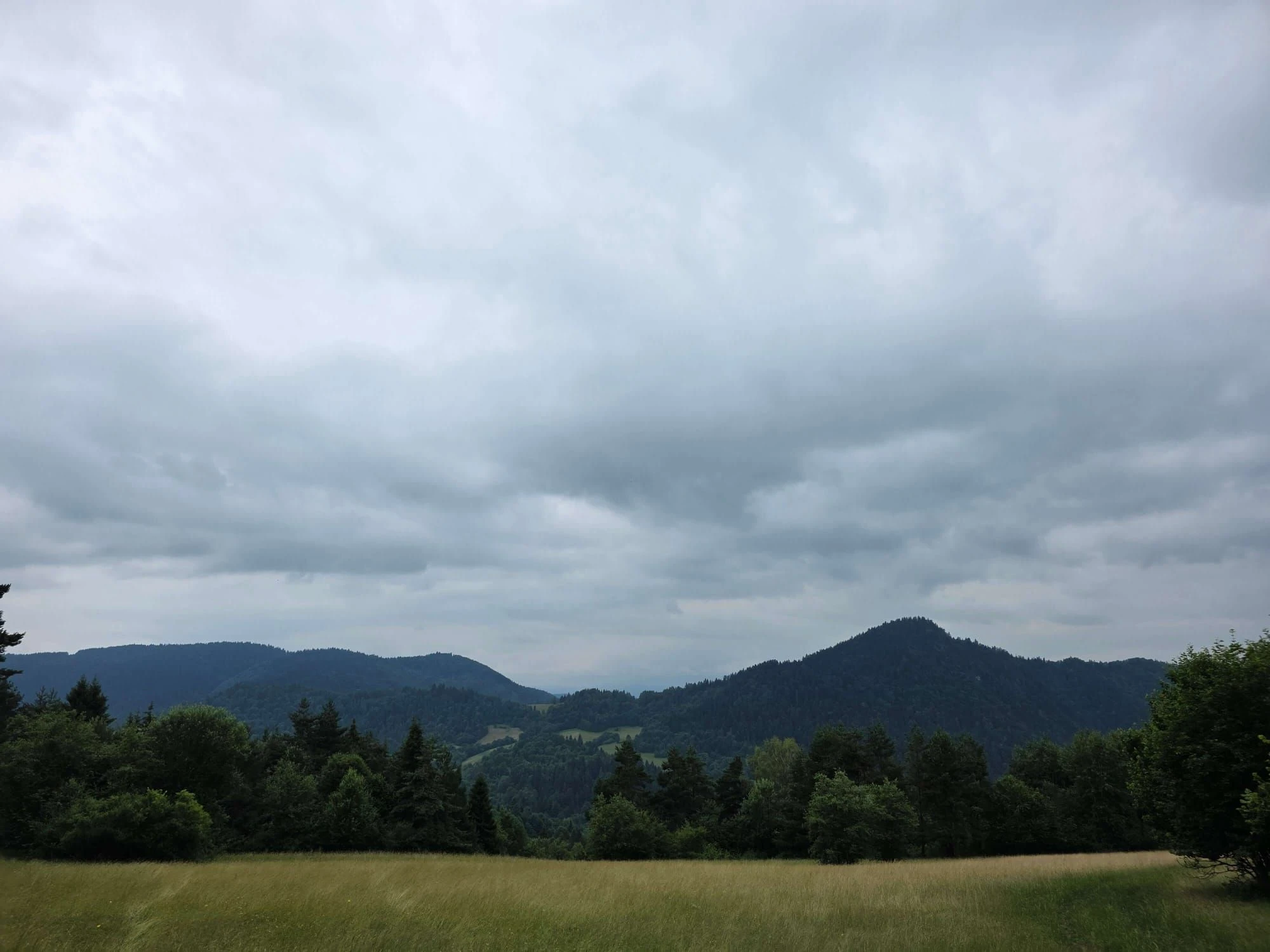 Pieniny lipiec 2026 – Pieniny - Sokolica i Trzy Korony, zdjęcie 2