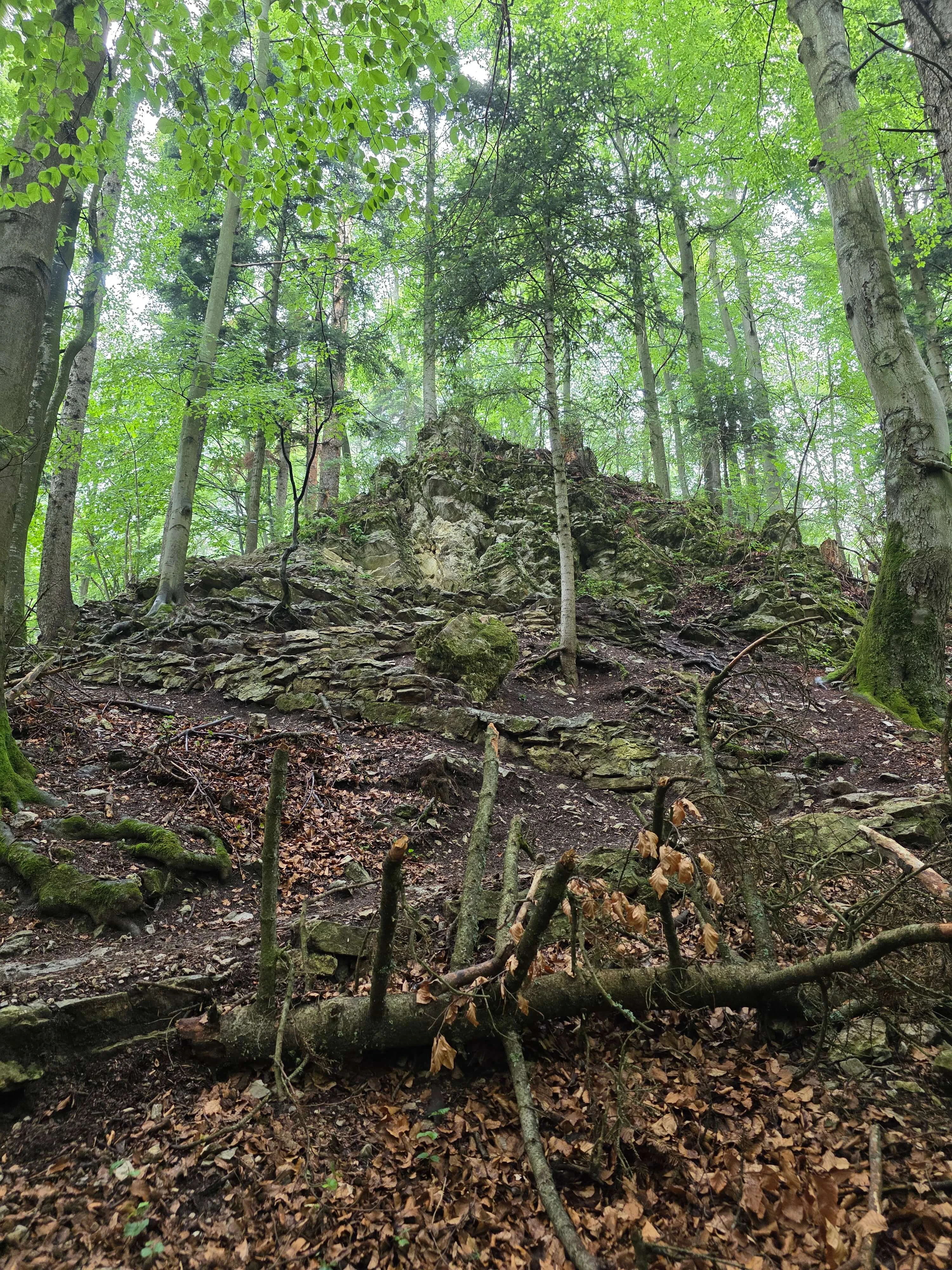 Zdradziłem Tatry dla Pienin. Sokolicę i Trzy Korony zrobiliśmy w jeden dzień (i to z rowerami!)