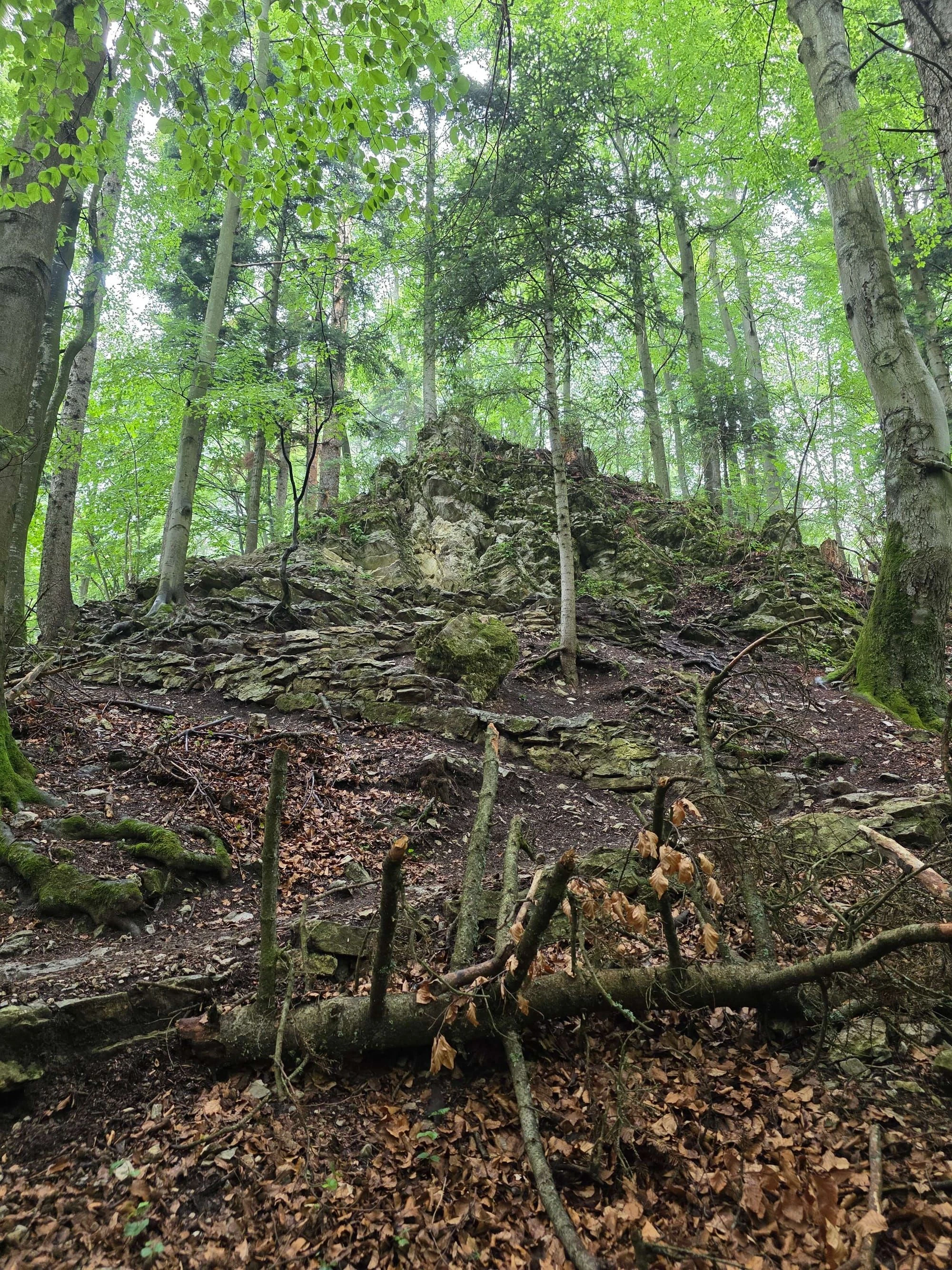 Pieniny lipiec 2026 – Pieniny - Sokolica i Trzy Korony, zdjęcie 42