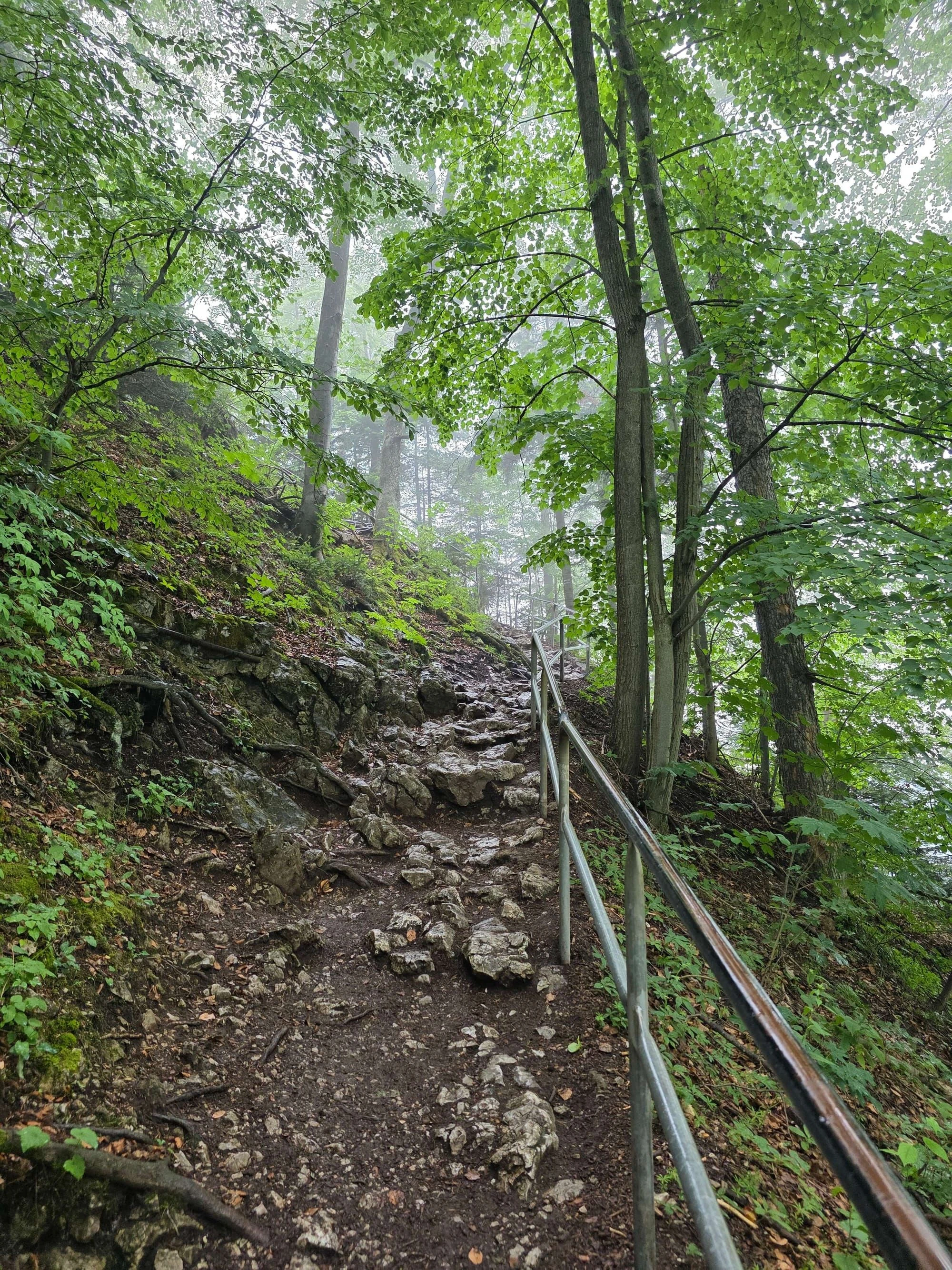 Pieniny lipiec 2026 – Pieniny - Sokolica i Trzy Korony, zdjęcie 57