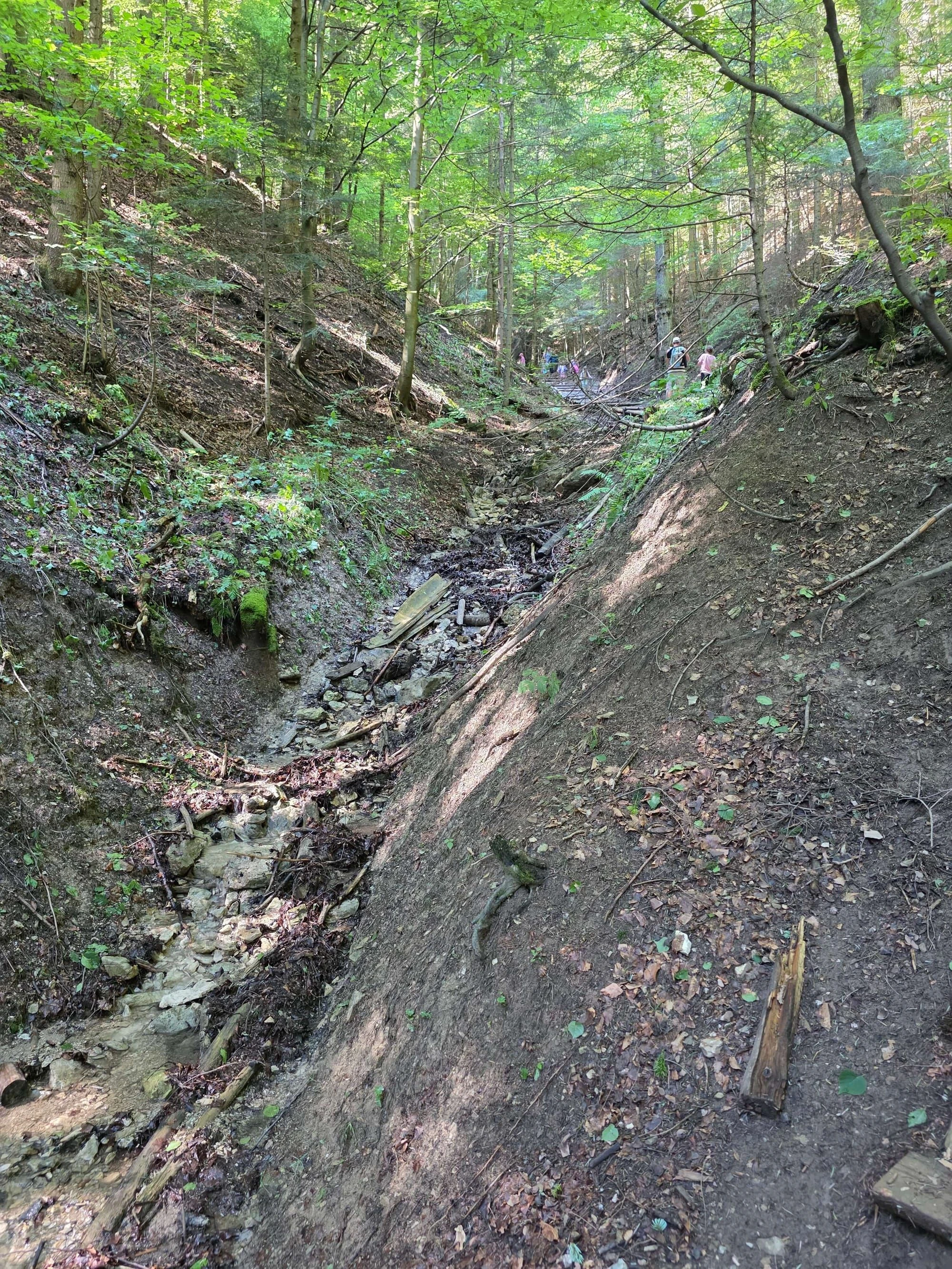 Pieniny lipiec 2026 – Pieniny - Sokolica i Trzy Korony, zdjęcie 29