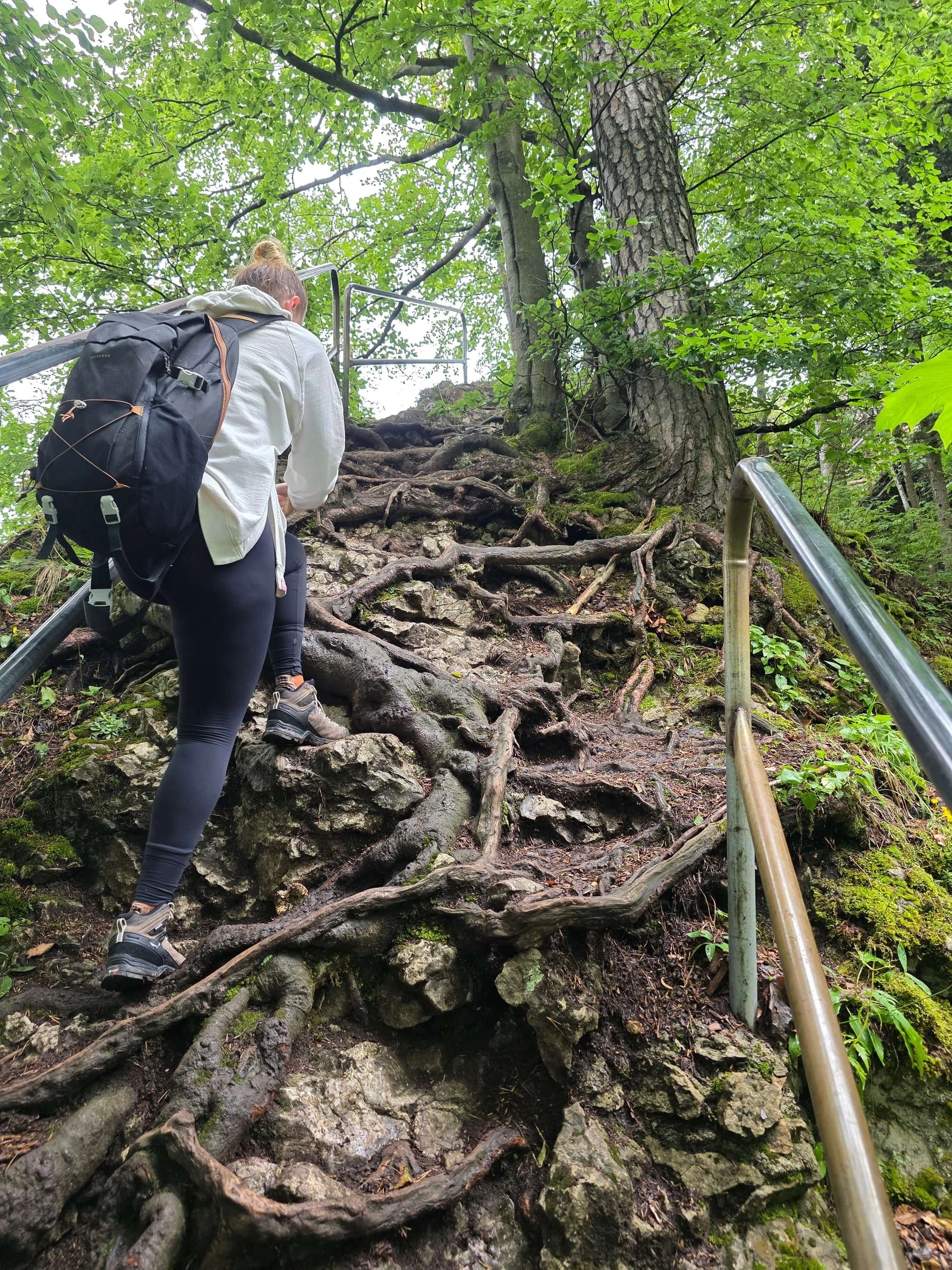 Pieniny lipiec 2026 – Pieniny - Sokolica i Trzy Korony, zdjęcie 6