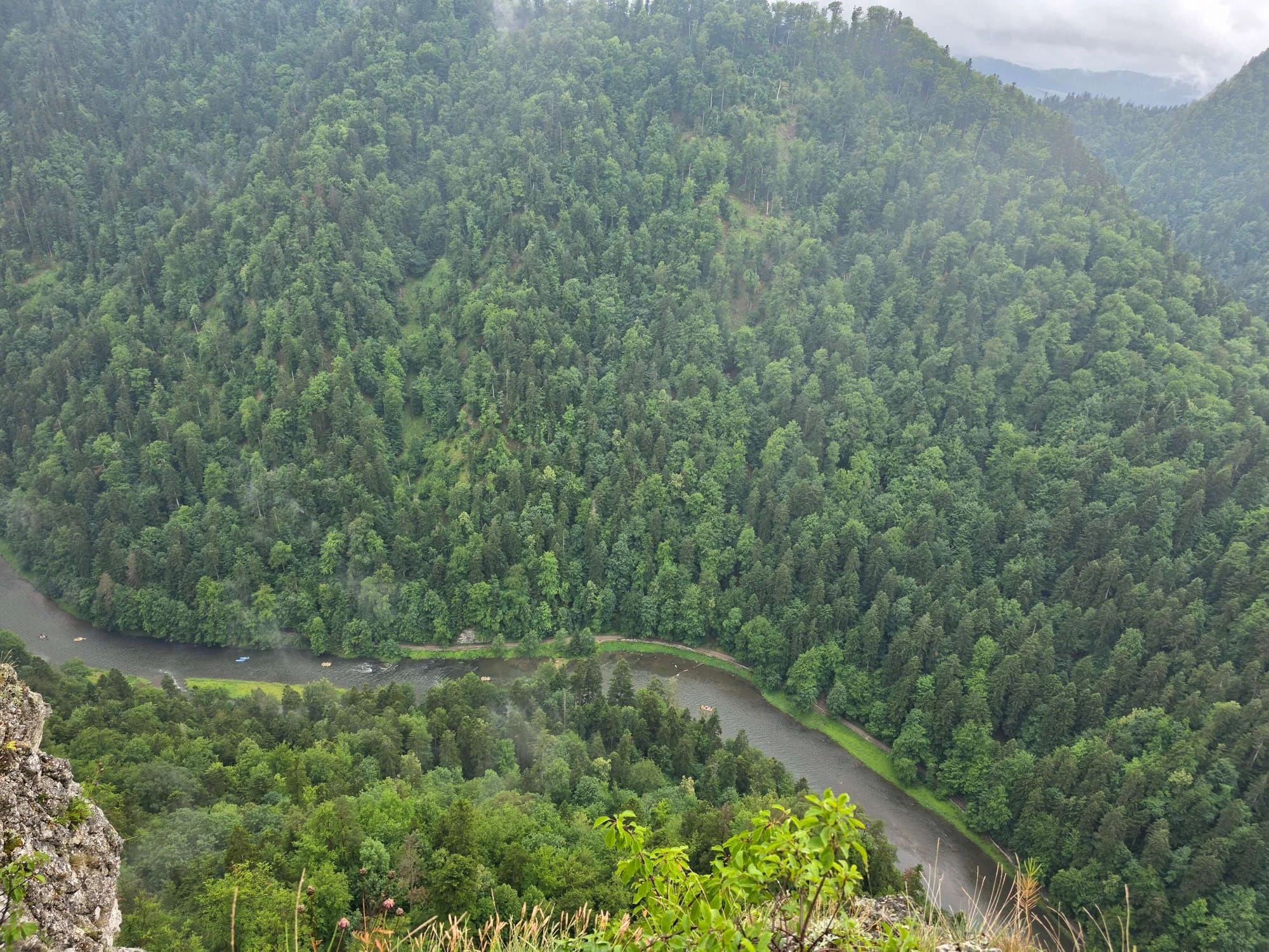 Pieniny lipiec 2026 – Pieniny - Sokolica i Trzy Korony, zdjęcie 69