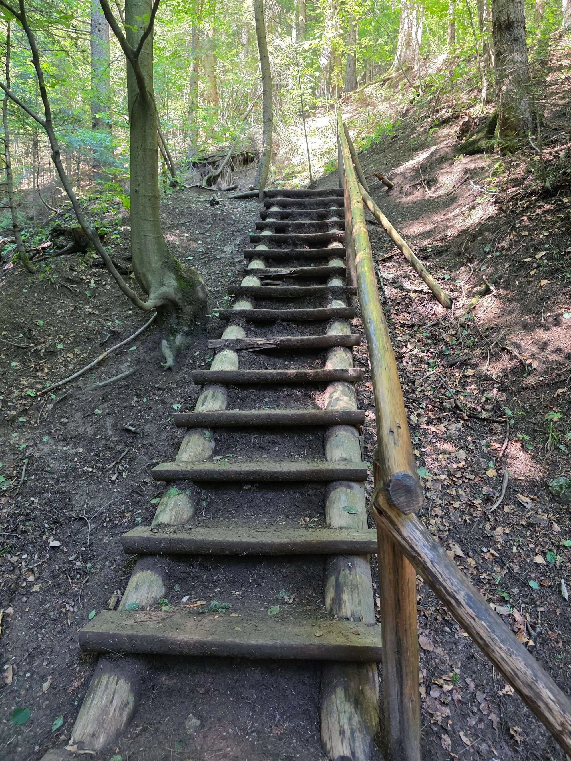 Pieniny lipiec 2026 – Pieniny - Sokolica i Trzy Korony, zdjęcie 16