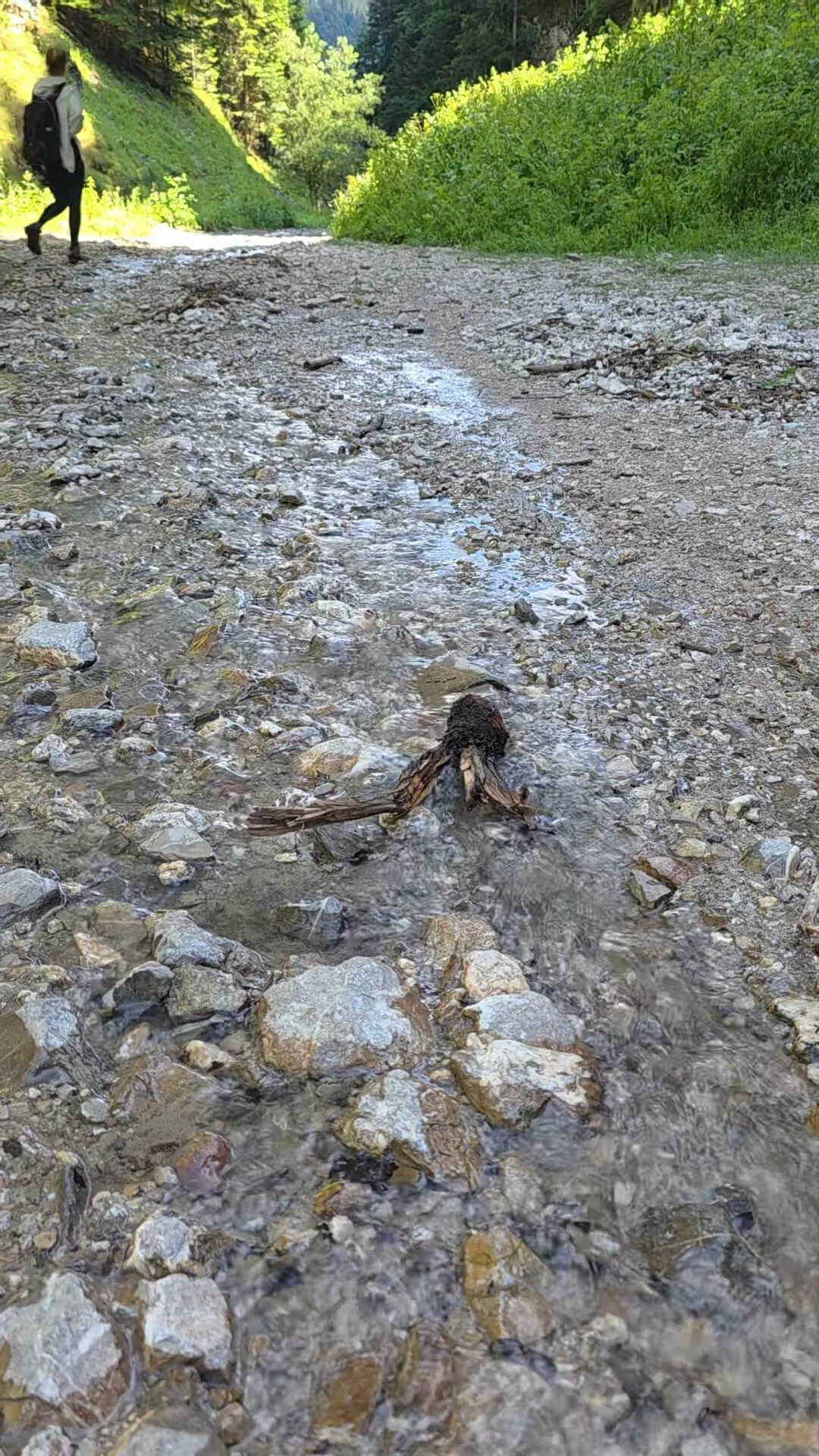 Zdradziłem Tatry dla Pienin. Sokolicę i Trzy Korony zrobiliśmy w jeden dzień (i to z rowerami!)
