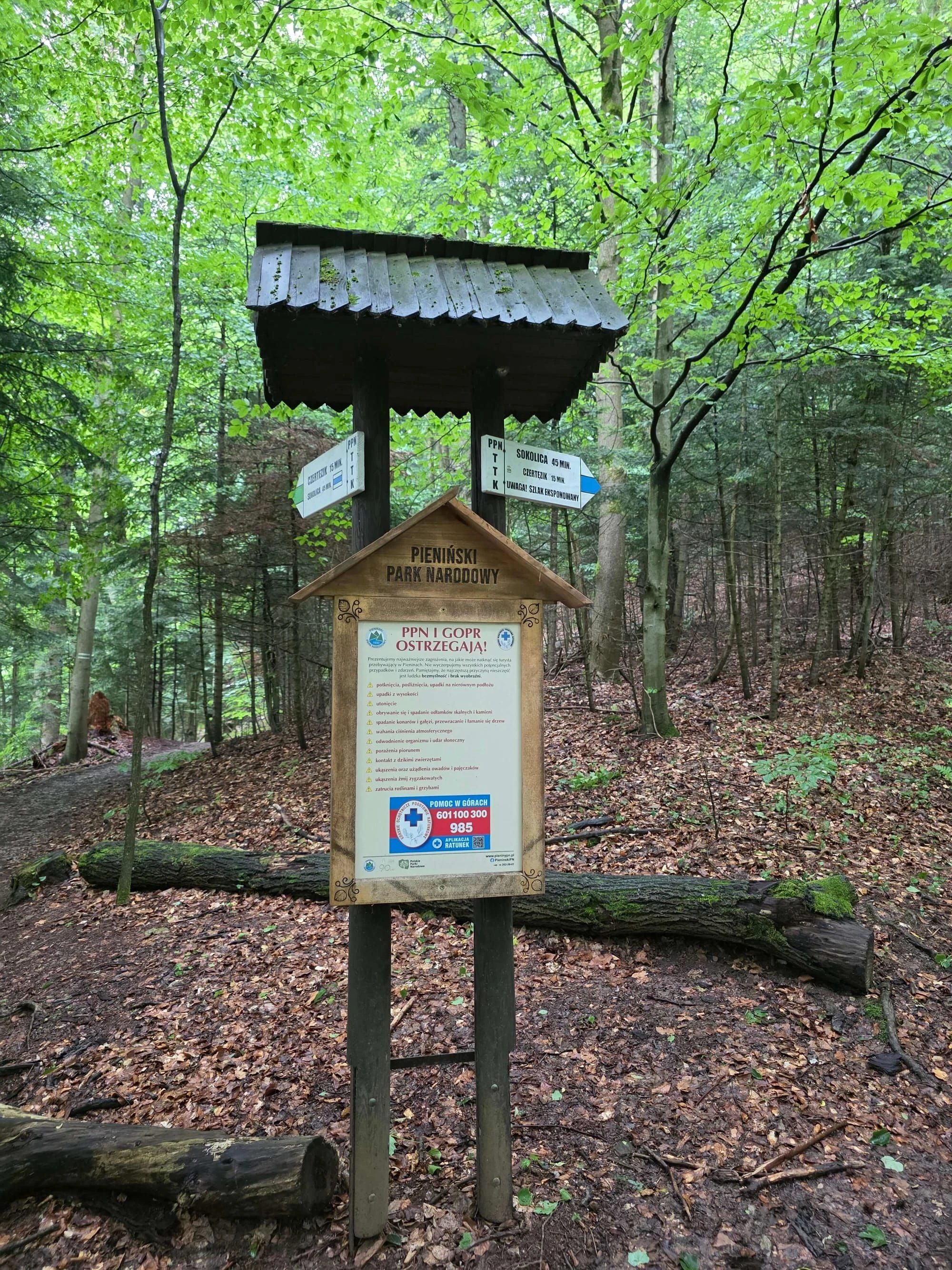 Pieniny lipiec 2026 – Pieniny - Sokolica i Trzy Korony, zdjęcie 34