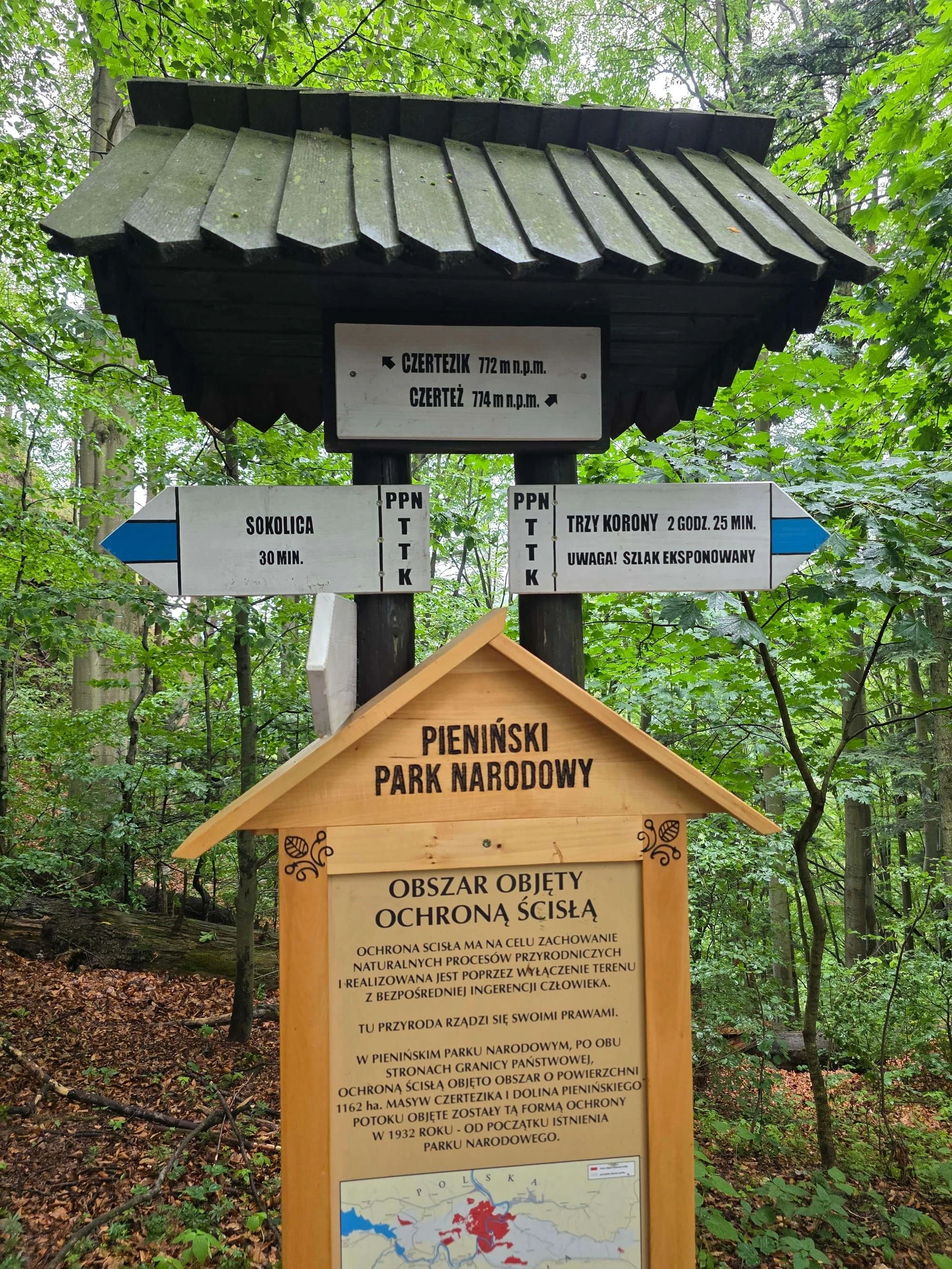 Pieniny lipiec 2026 – Pieniny - Sokolica i Trzy Korony, zdjęcie 32
