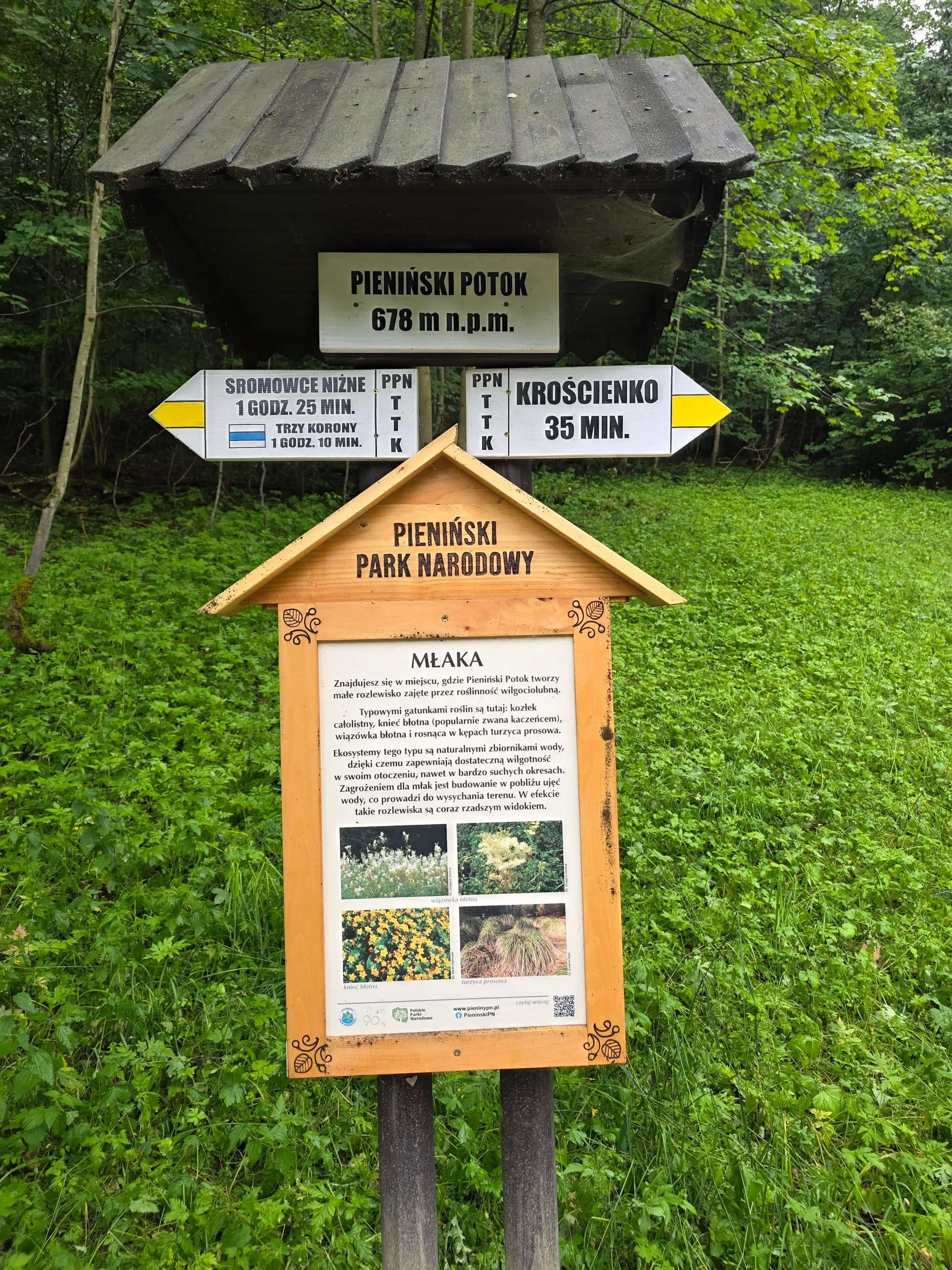 Pieniny lipiec 2026 – Zdradziłem Tatry dla Pienin. Sokolicę i Trzy Korony zrobiliśmy w jeden dzień (i to z rowerami!), zdjęcie 43