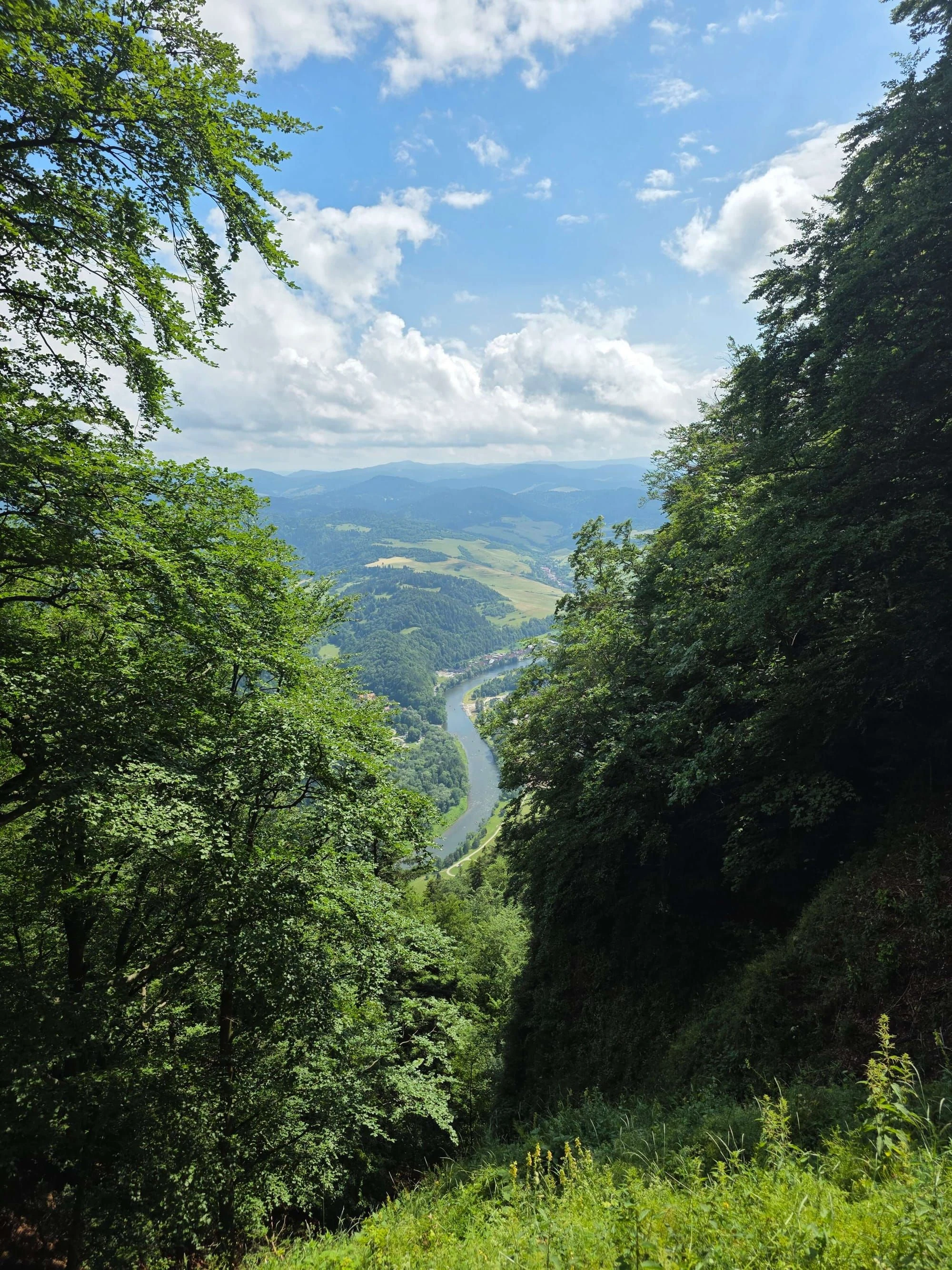 Pieniny lipiec 2026 – Pieniny - Sokolica i Trzy Korony, zdjęcie 36