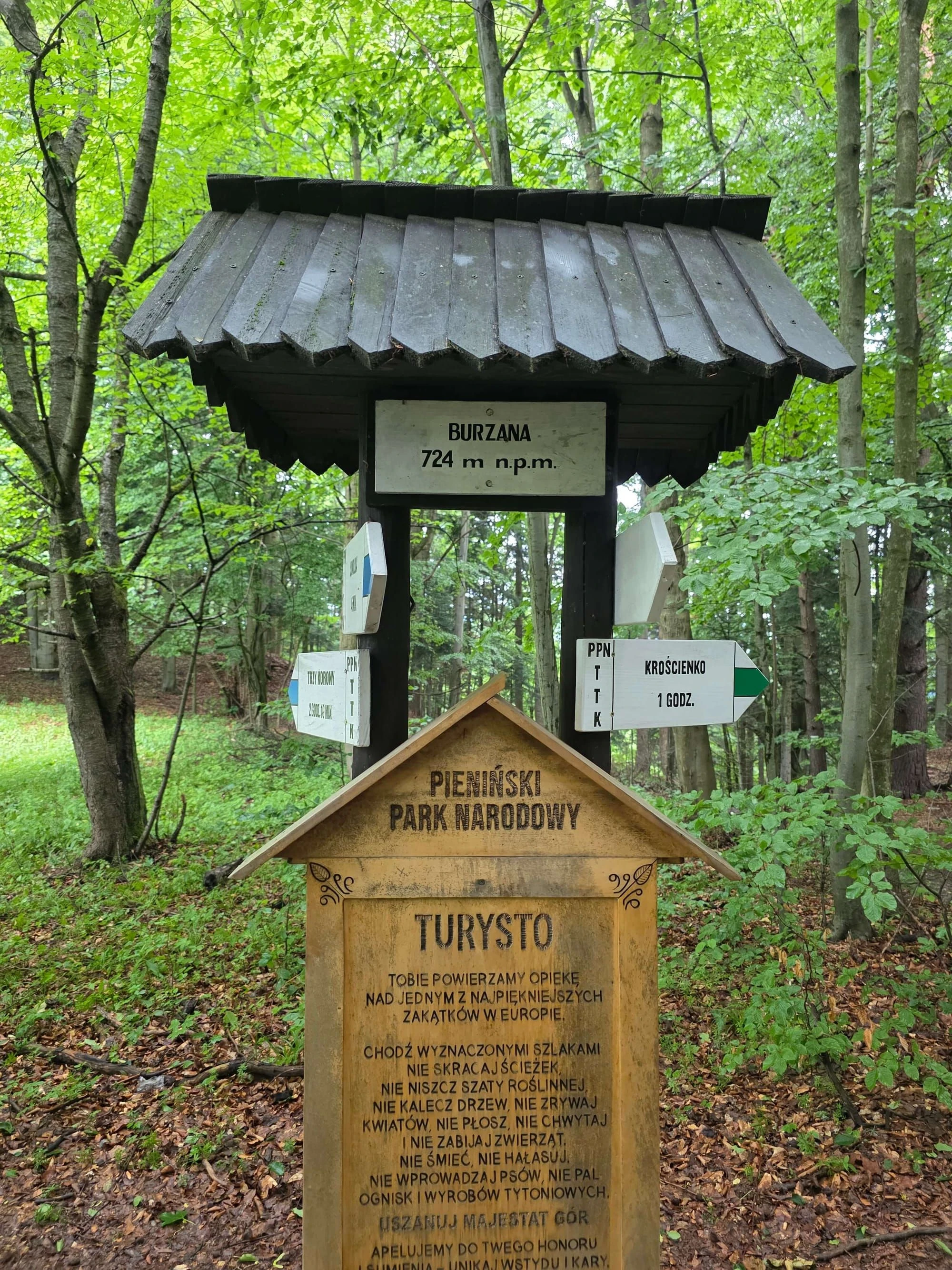 Pieniny lipiec 2026 – Pieniny - Sokolica i Trzy Korony, zdjęcie 5