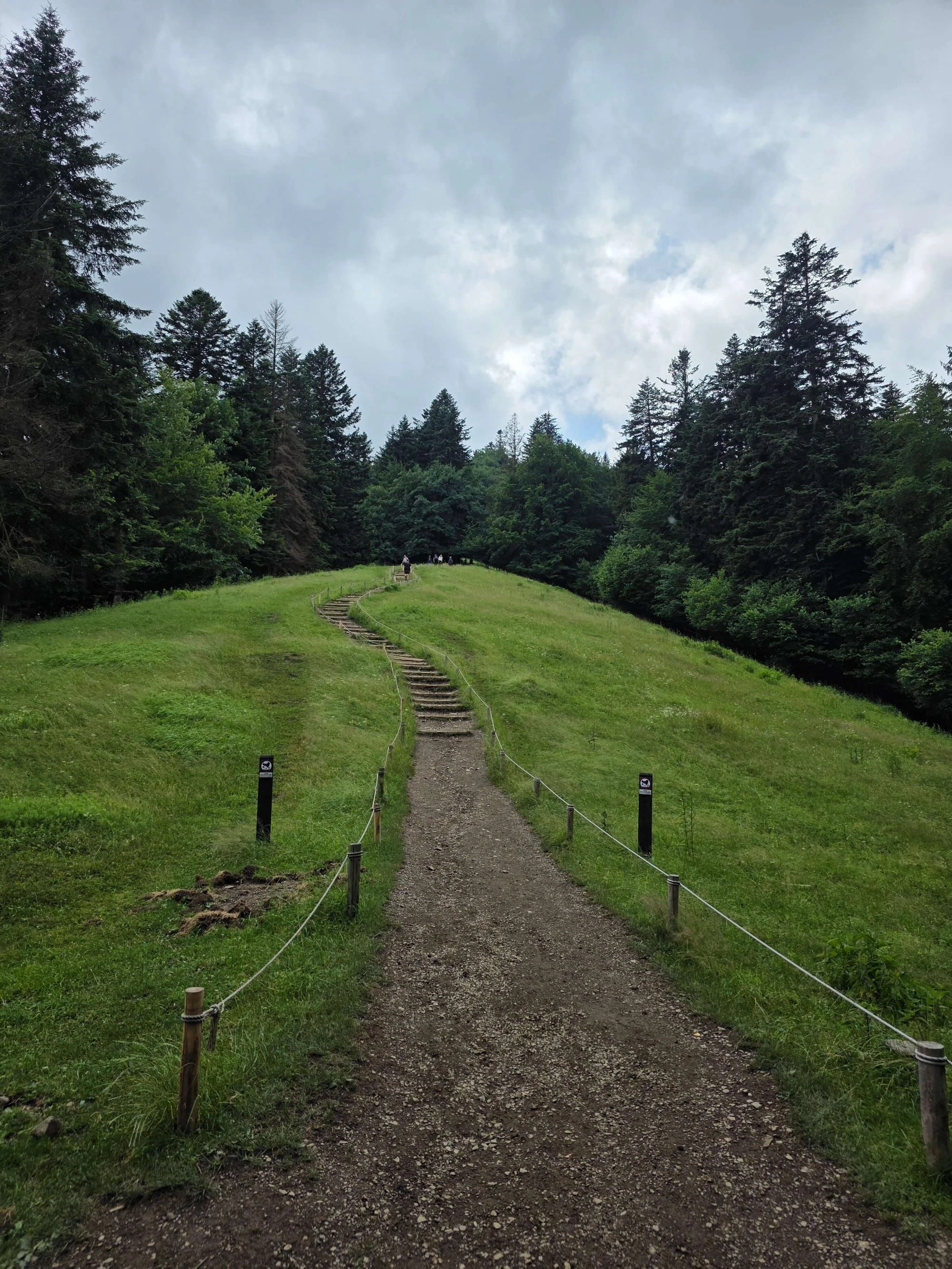 Pieniny lipiec 2026 – Pieniny - Sokolica i Trzy Korony, zdjęcie 43