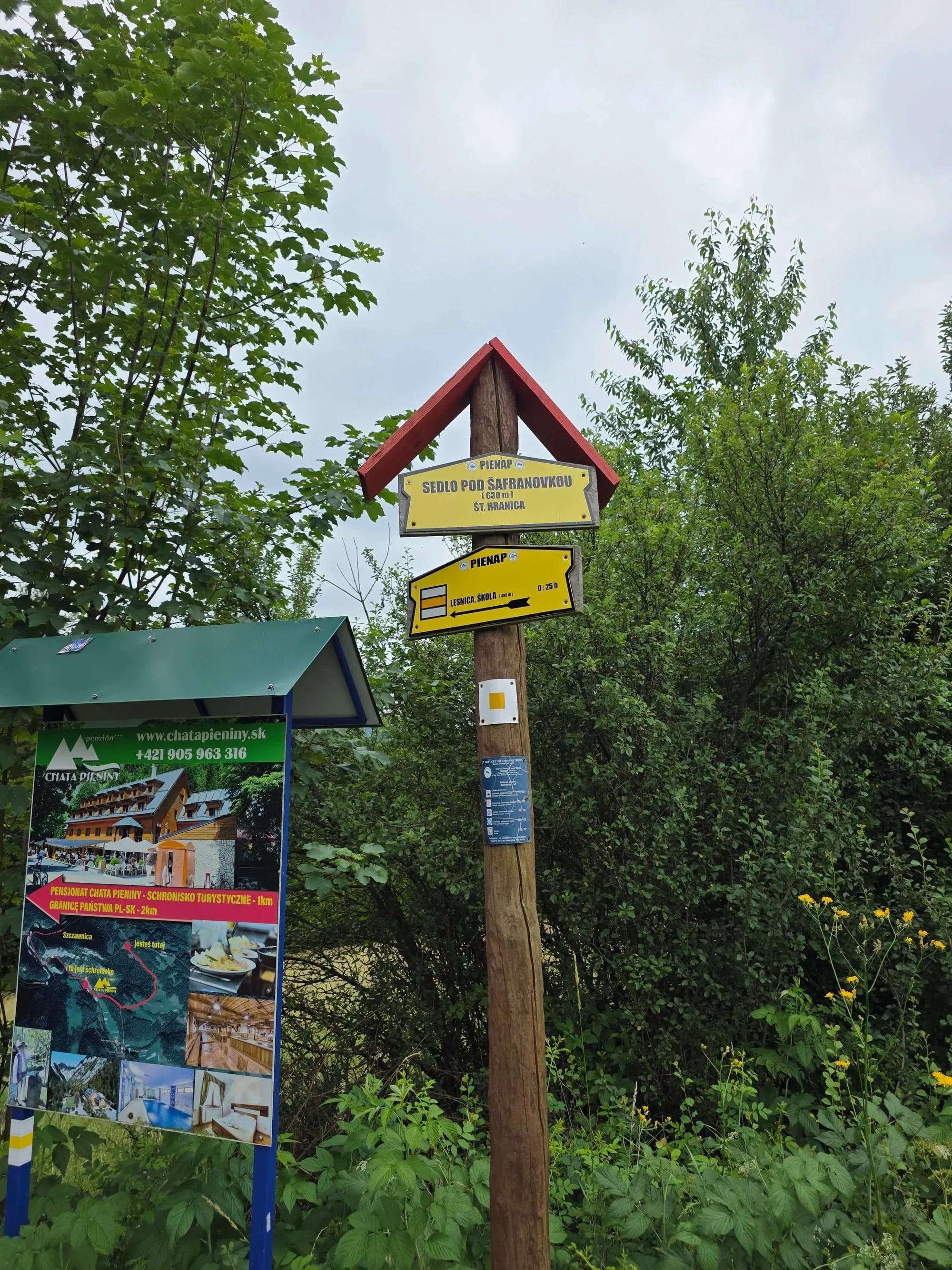 Pieniny lipiec 2026 – Zdradziłem Tatry dla Pienin. Sokolicę i Trzy Korony zrobiliśmy w jeden dzień (i to z rowerami!), zdjęcie 63