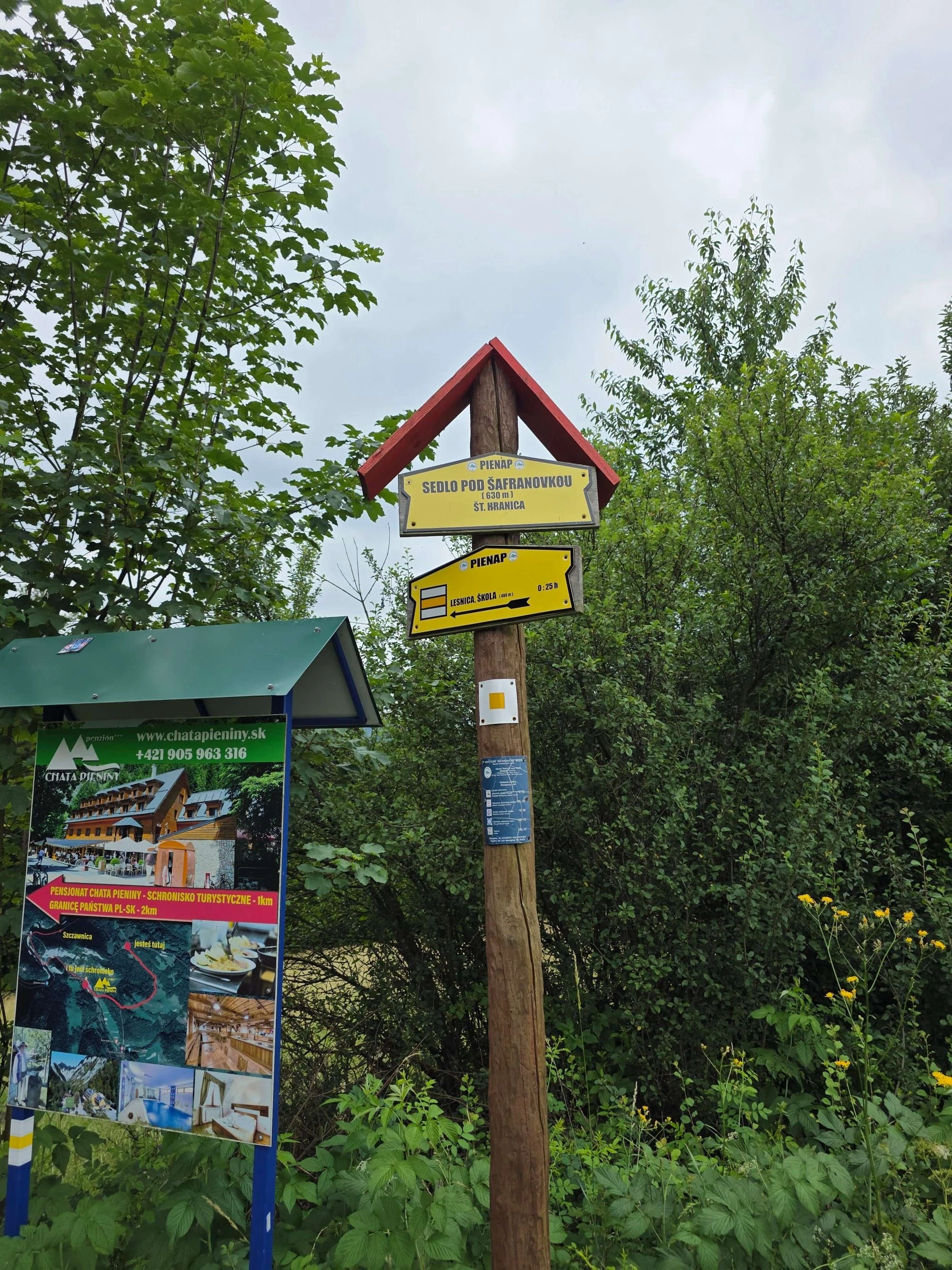 Pieniny lipiec 2026 – Pieniny - Sokolica i Trzy Korony, zdjęcie 8