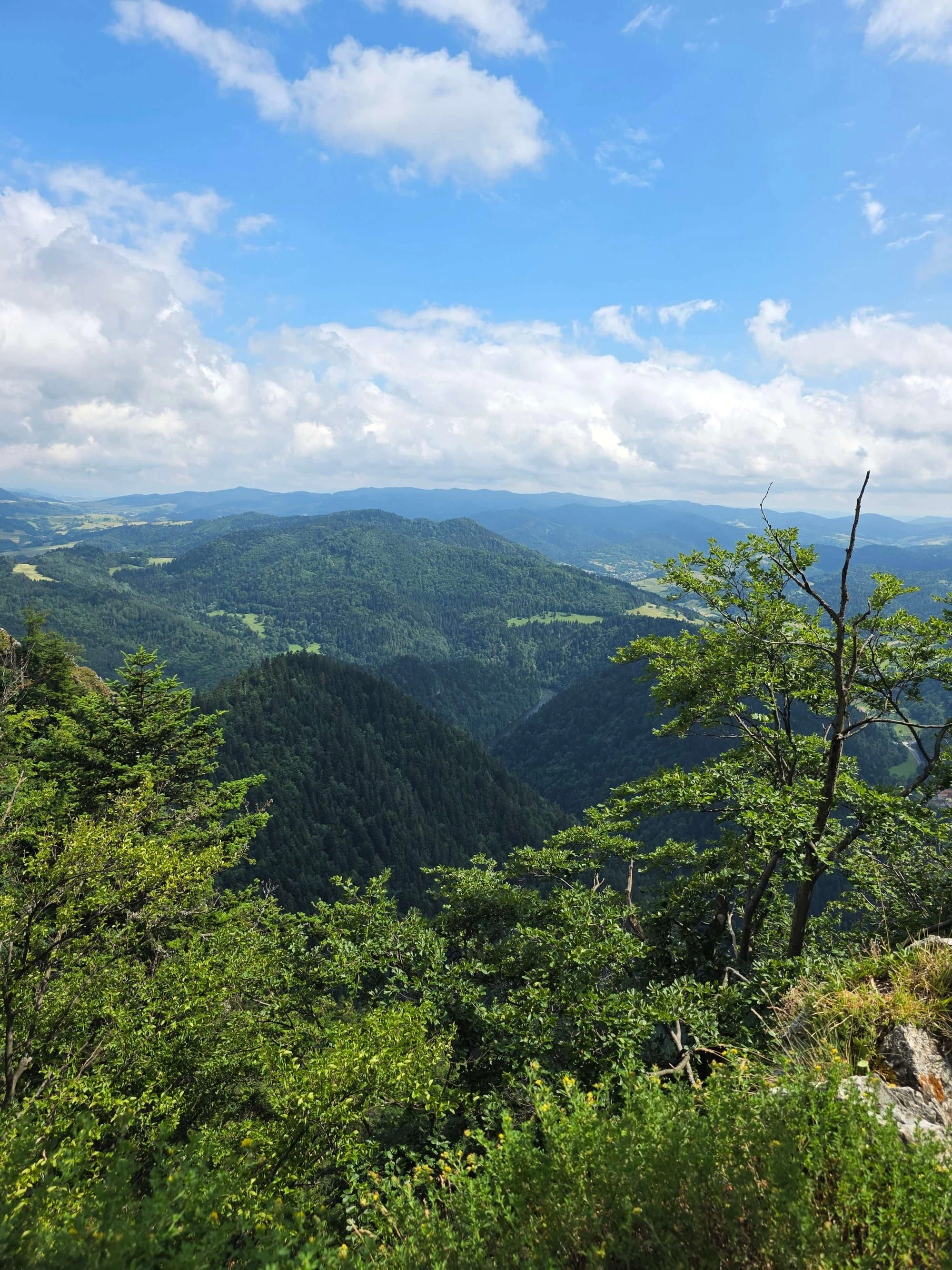 Pieniny lipiec 2026 – Pieniny - Sokolica i Trzy Korony, zdjęcie 4