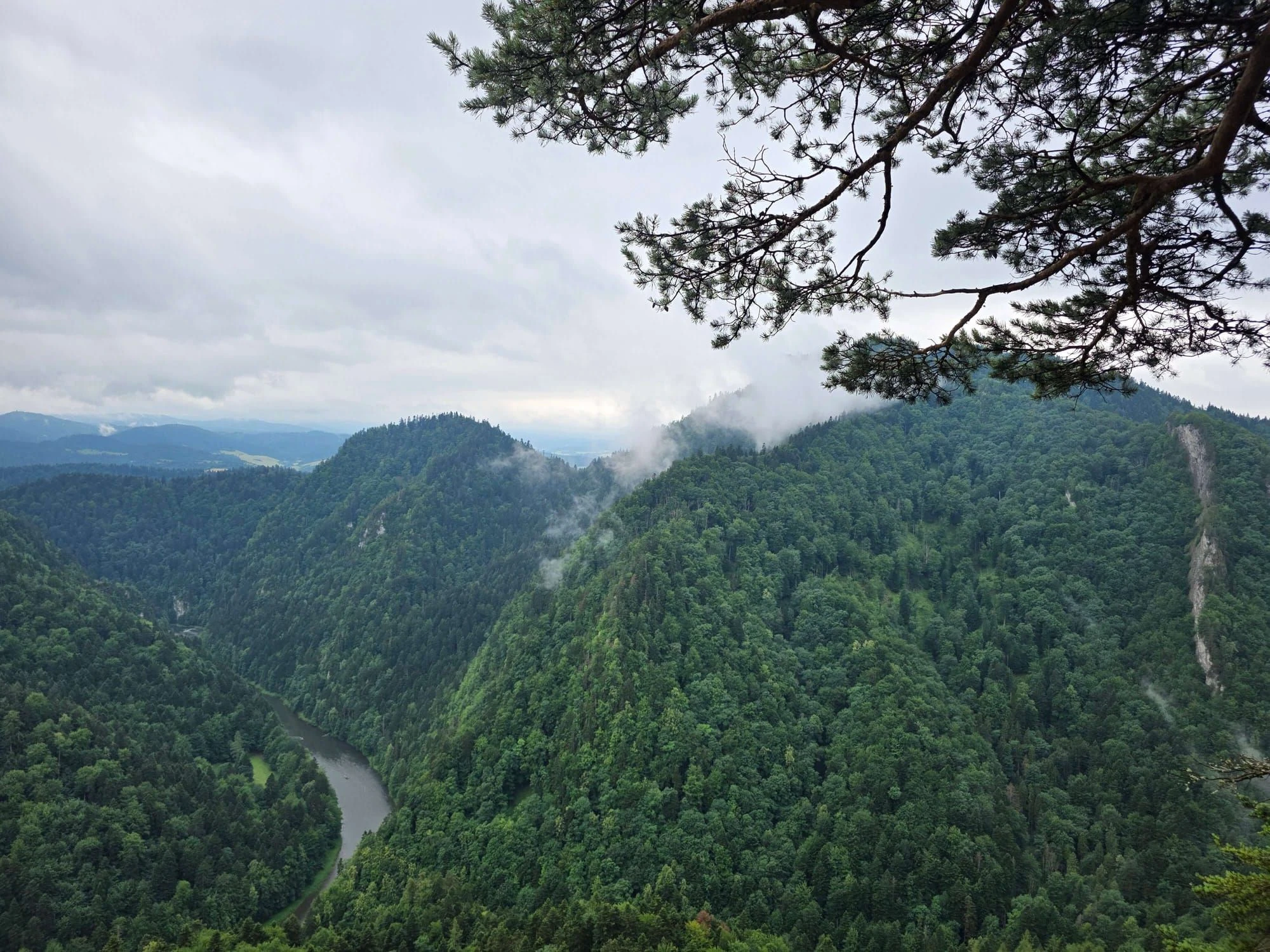 Pieniny lipiec 2026 – Pieniny - Sokolica i Trzy Korony, zdjęcie 18