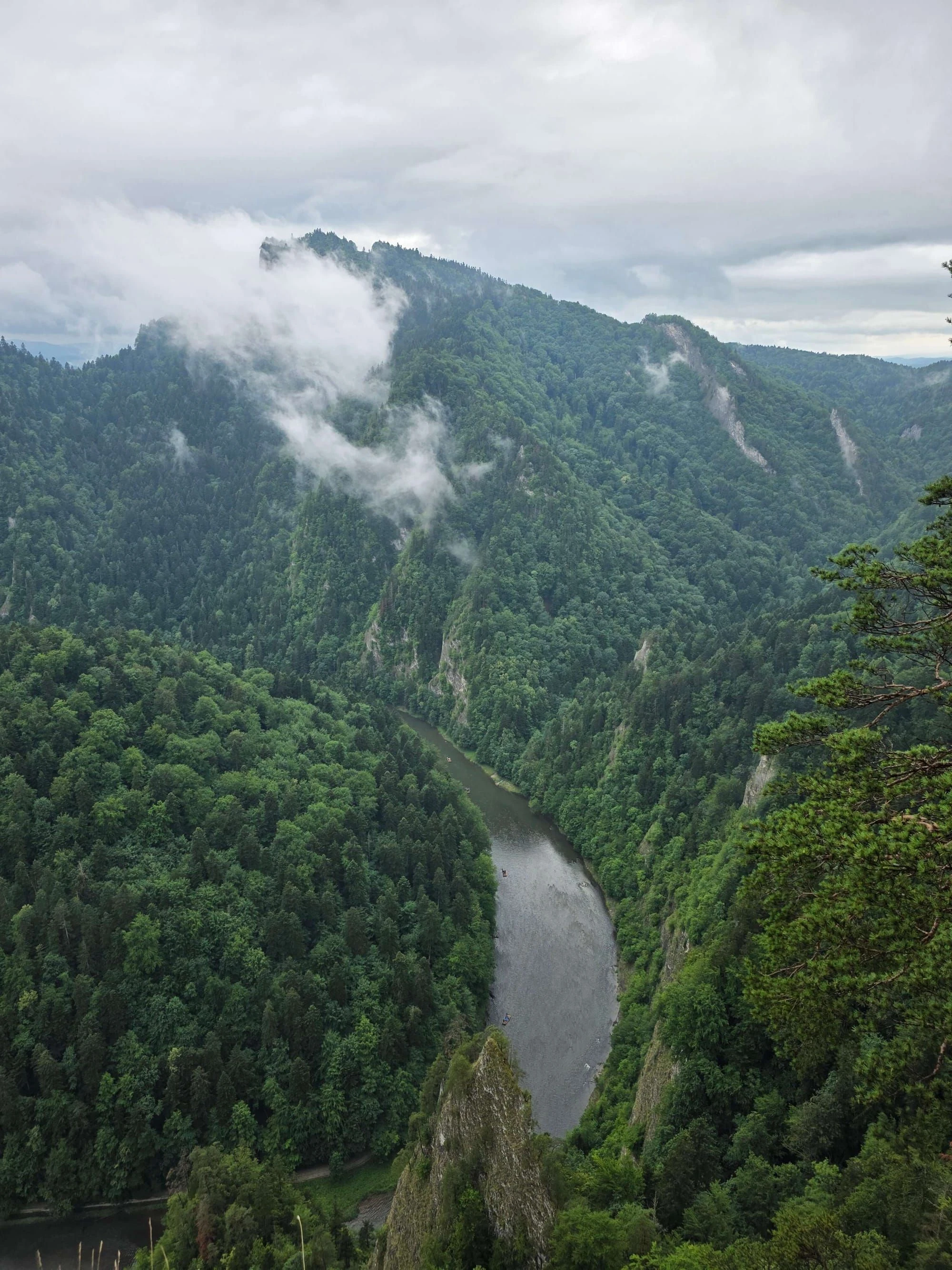 Pieniny lipiec 2026 – Pieniny - Sokolica i Trzy Korony, zdjęcie 40
