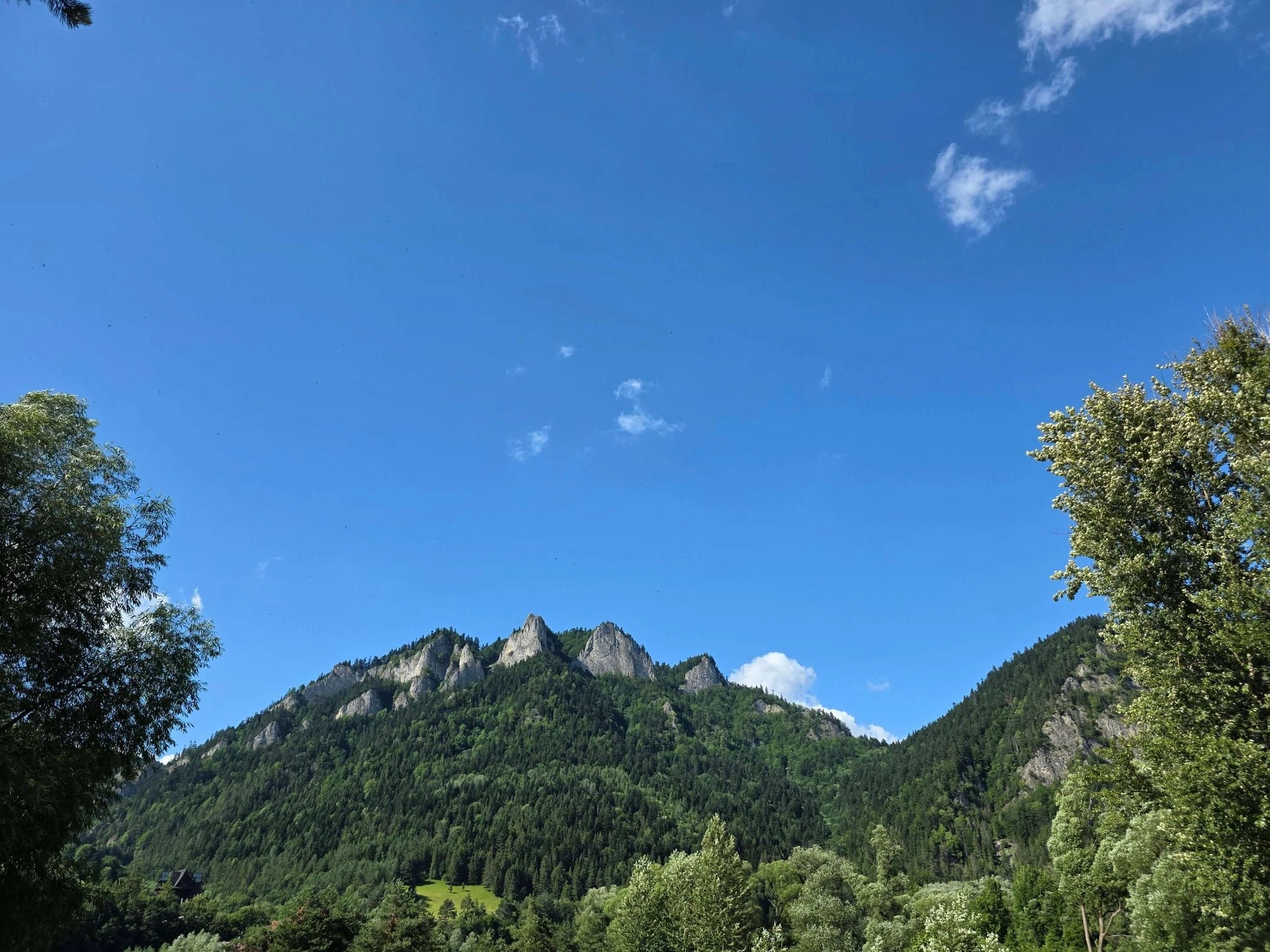 Pieniny lipiec 2026 – Pieniny - Sokolica i Trzy Korony, zdjęcie 21