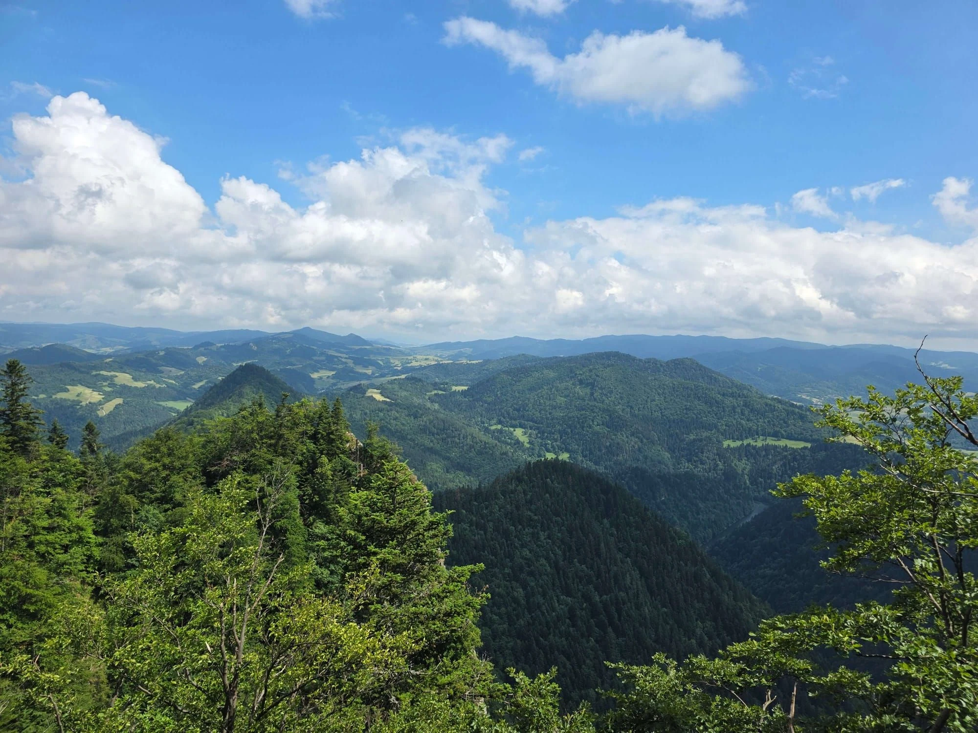 Pieniny lipiec 2026 – Pieniny - Sokolica i Trzy Korony, zdjęcie 41