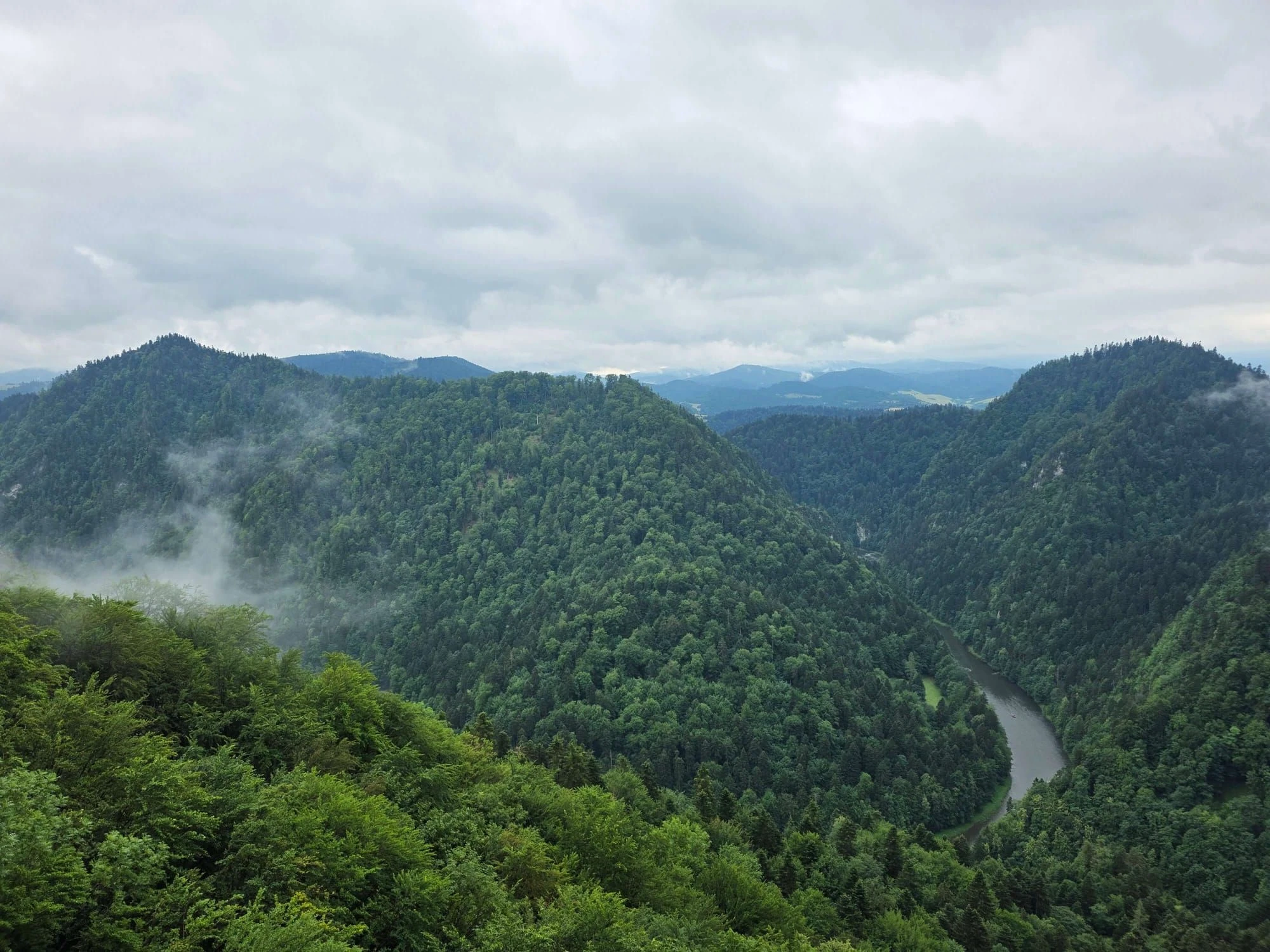 Pieniny lipiec 2026 – Pieniny - Sokolica i Trzy Korony, zdjęcie 67