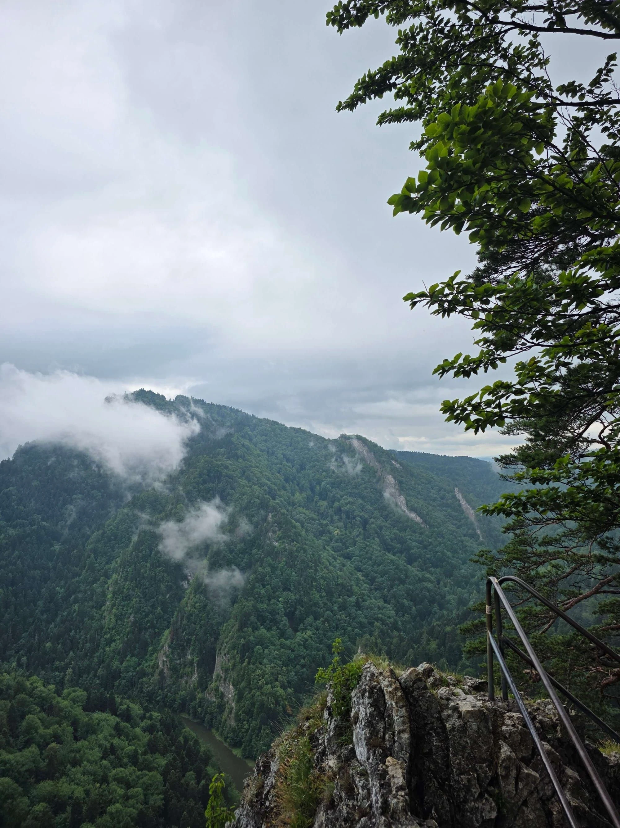 Pieniny lipiec 2026 – Pieniny - Sokolica i Trzy Korony, zdjęcie 9