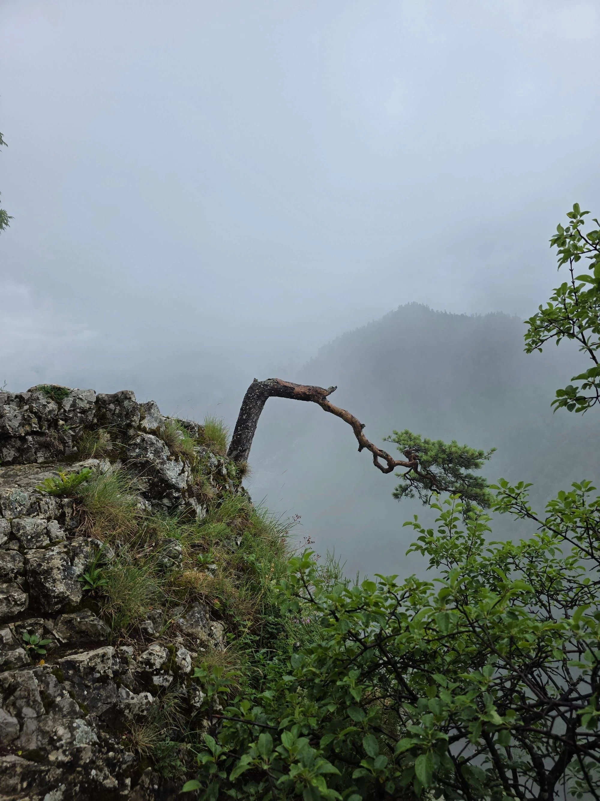 Pieniny lipiec 2026 – Pieniny - Sokolica i Trzy Korony, zdjęcie 20