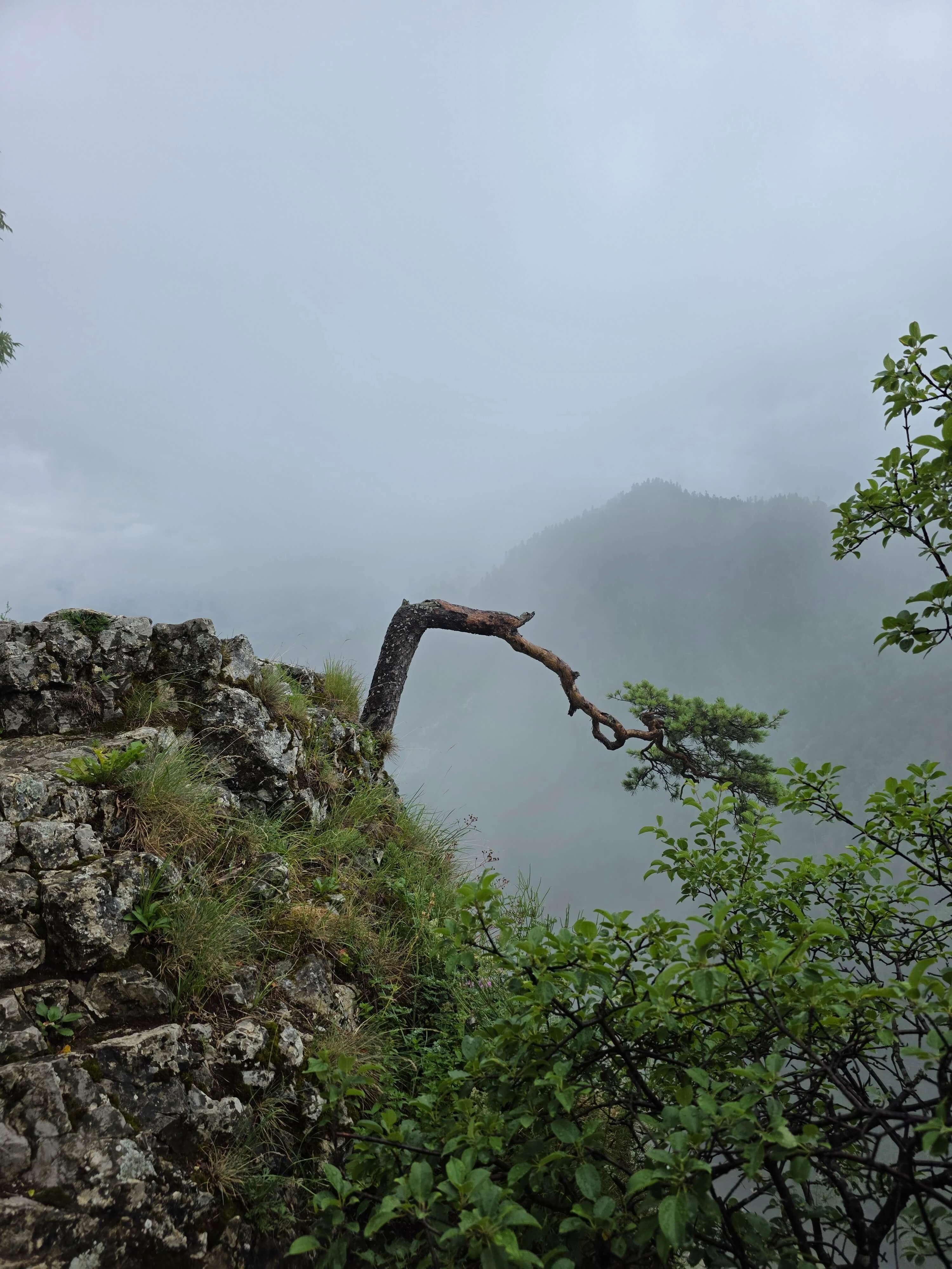 Zdradziłem Tatry dla Pienin. Sokolicę i Trzy Korony zrobiliśmy w jeden dzień (i to z rowerami!)