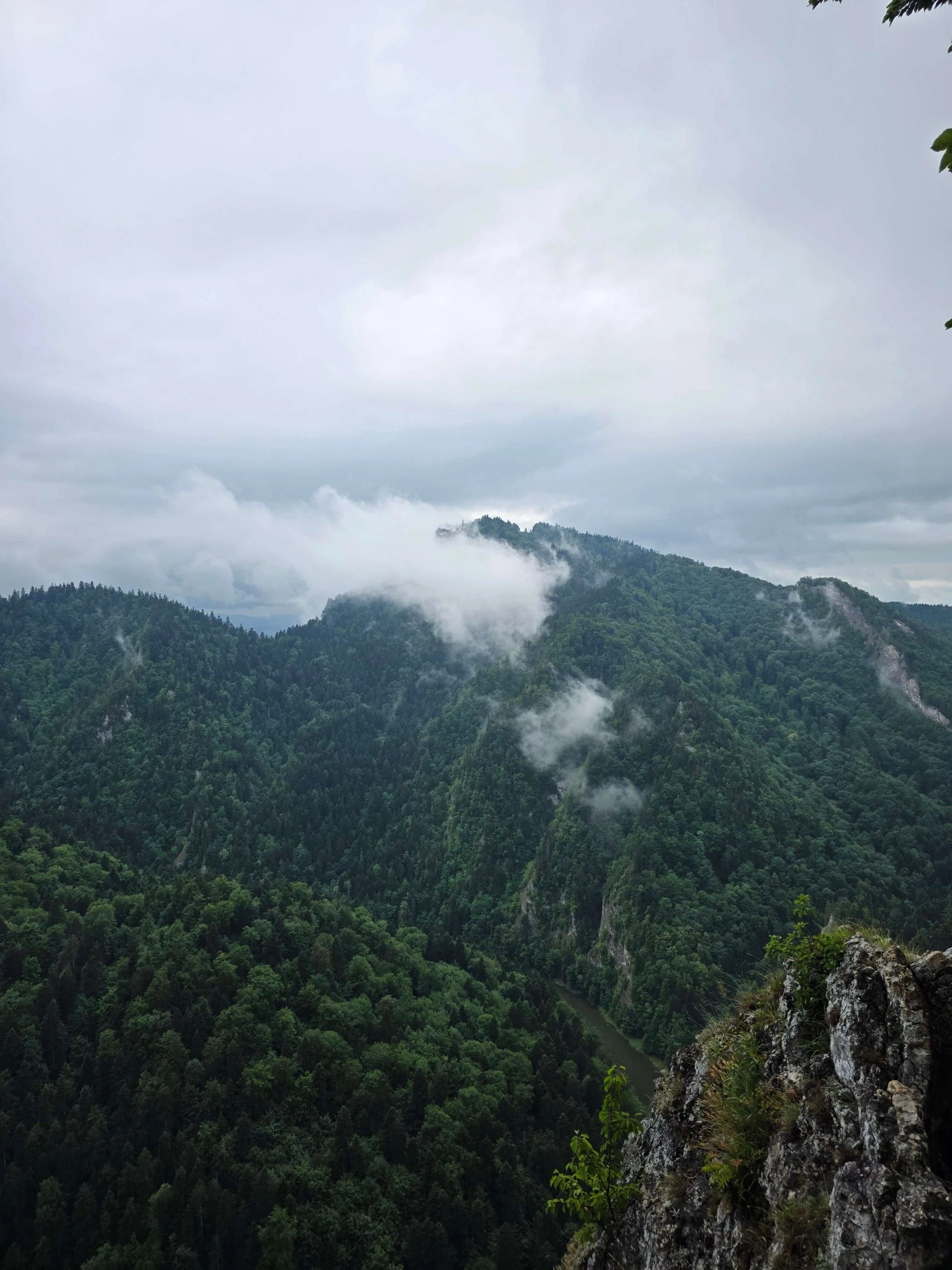 Pieniny lipiec 2026 – Pieniny - Sokolica i Trzy Korony, zdjęcie 26