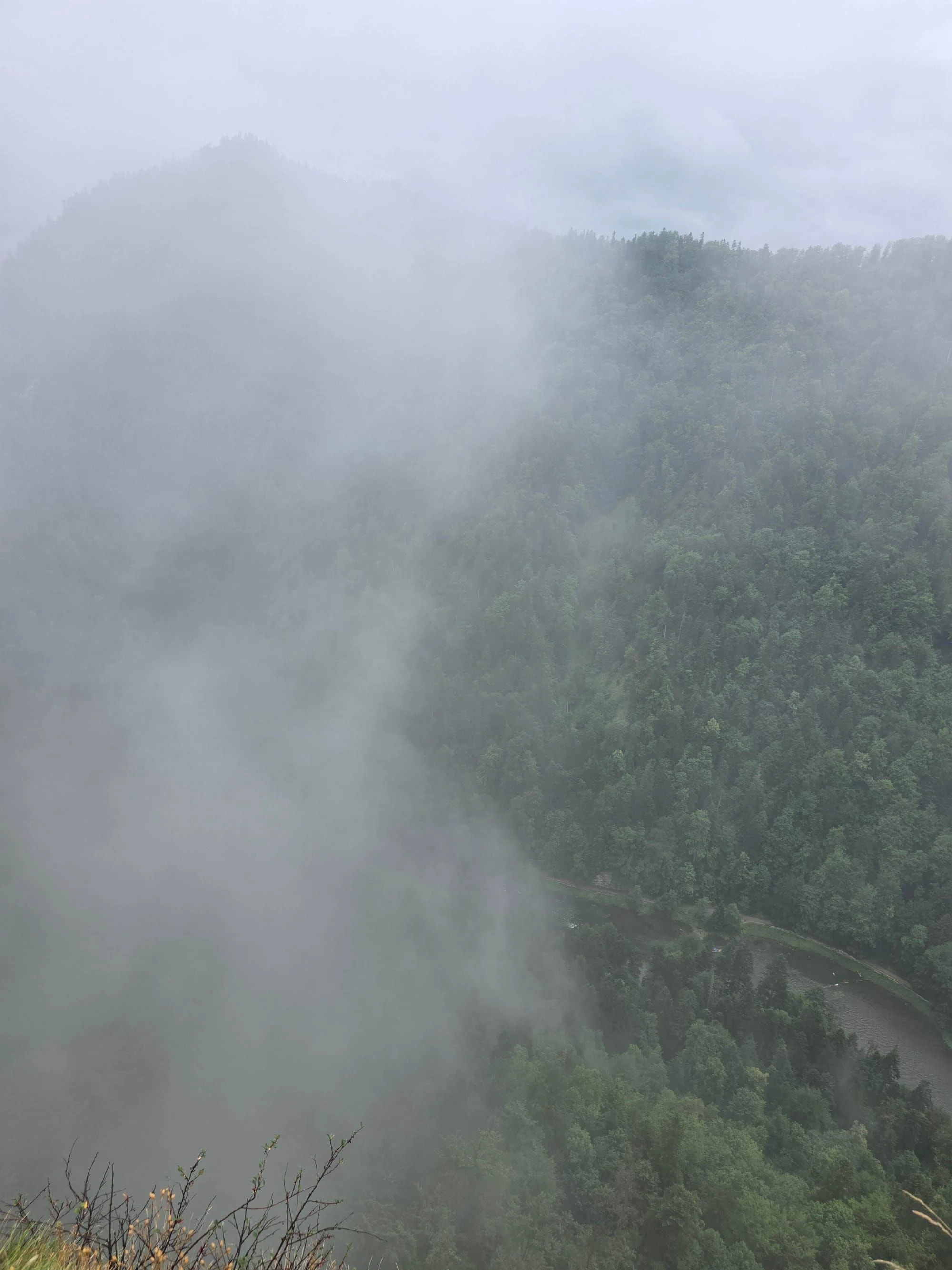 Pieniny lipiec 2026 – Pieniny - Sokolica i Trzy Korony, zdjęcie 35
