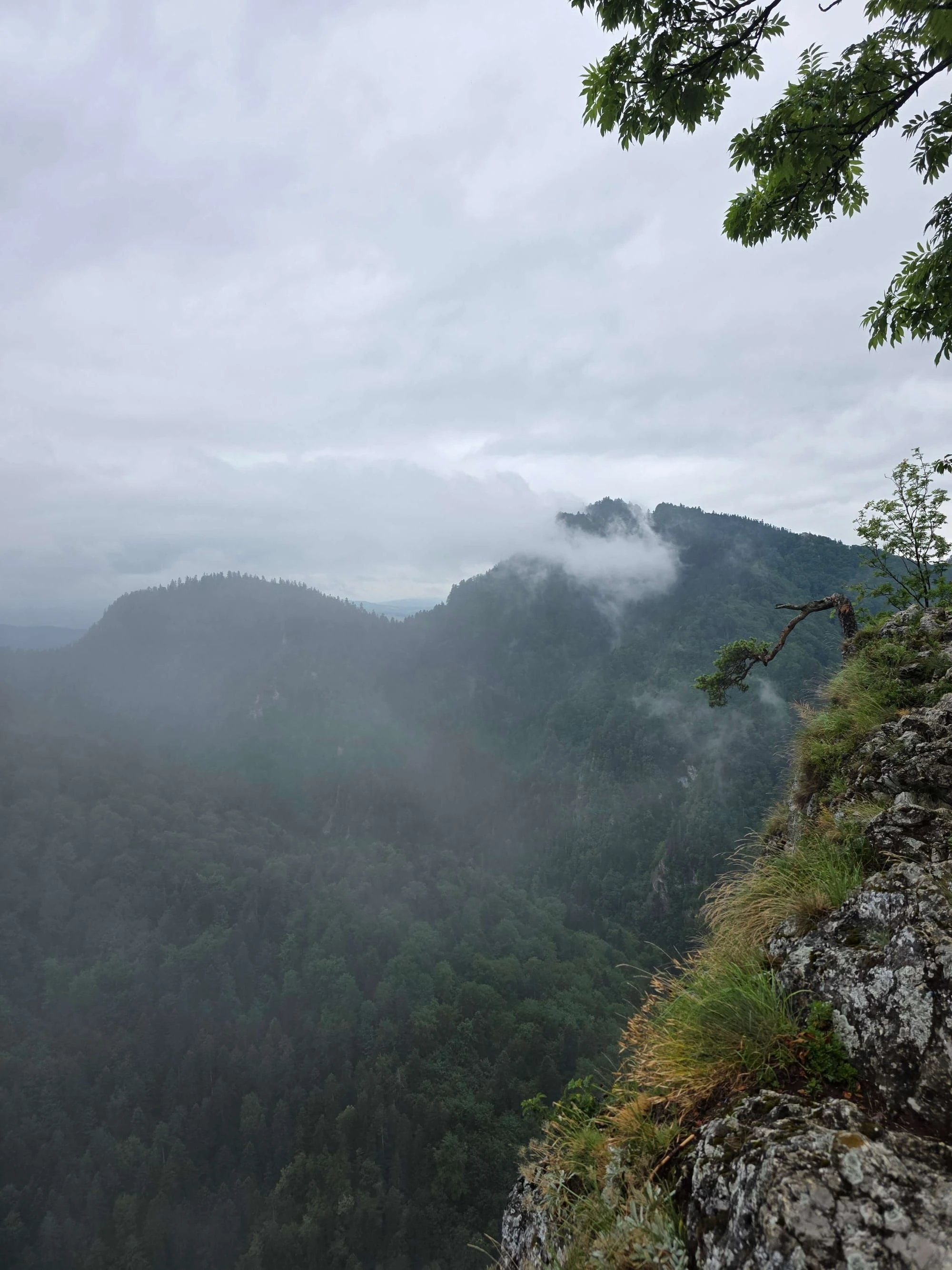 Pieniny lipiec 2026 – Pieniny - Sokolica i Trzy Korony, zdjęcie 71