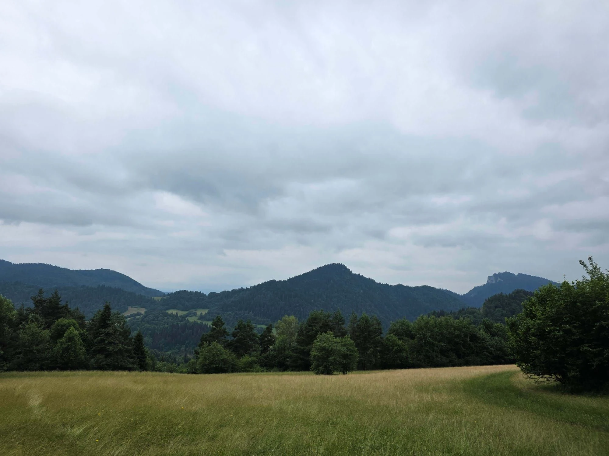 Pieniny lipiec 2026 – Pieniny - Sokolica i Trzy Korony, zdjęcie 51